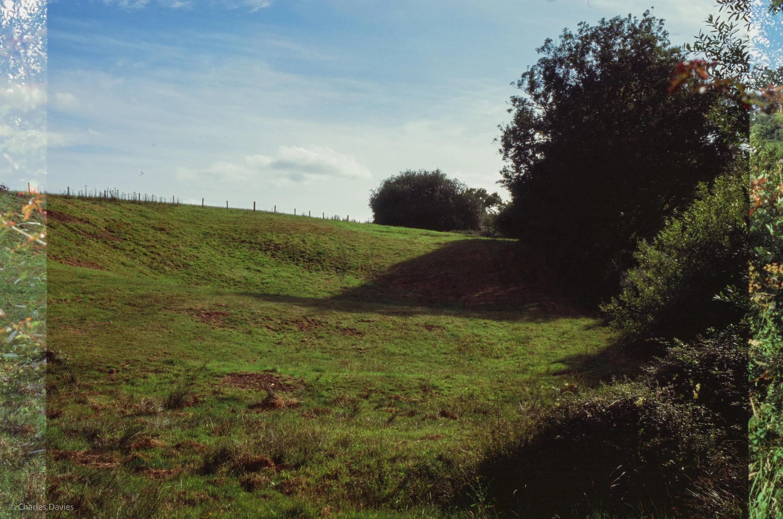Roll 41 - 2025 - Europe - United Kingdom - Shute - Fujifilm Velvia 100 - Contax RTS - 35mm - Film - Colour - Colour Reversal/Slide Film