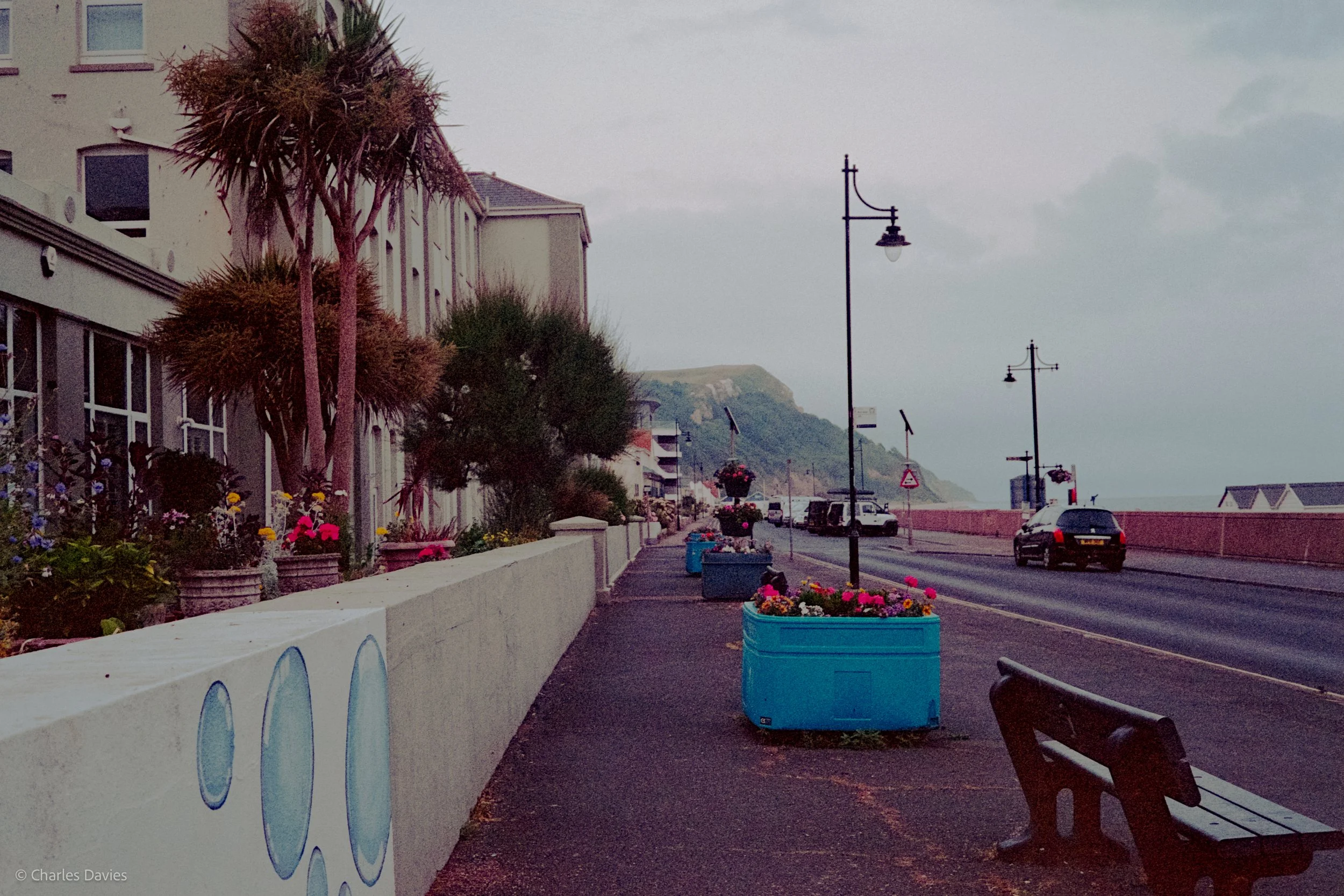 Roll 10 - 2023 - Europe - United Kingdom - Seaton - Kodak UltraMax 400 - Olympus 35DC - 35mm - Film - Colour 