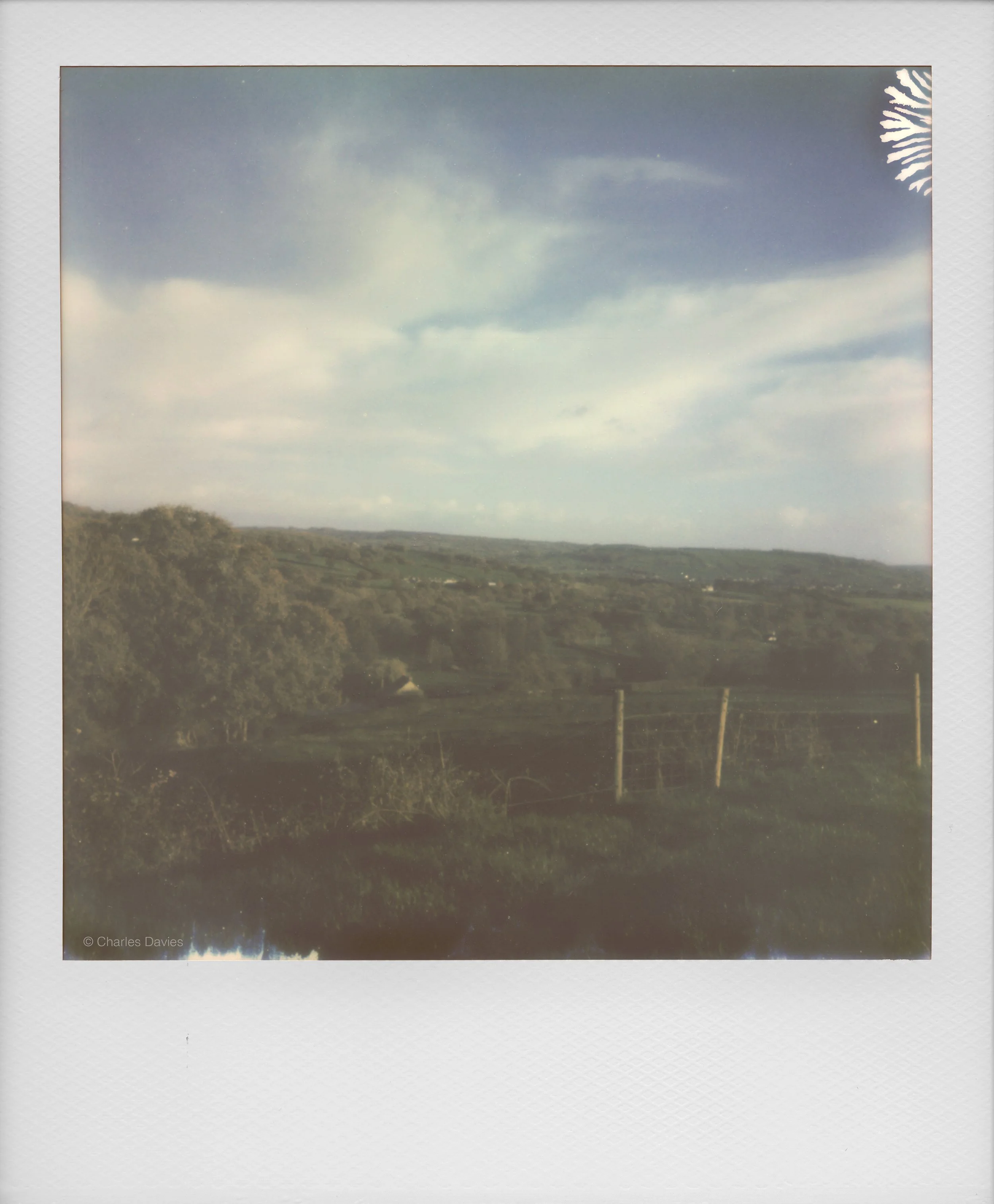 64 - 2022 - Polaroid Now.jpg