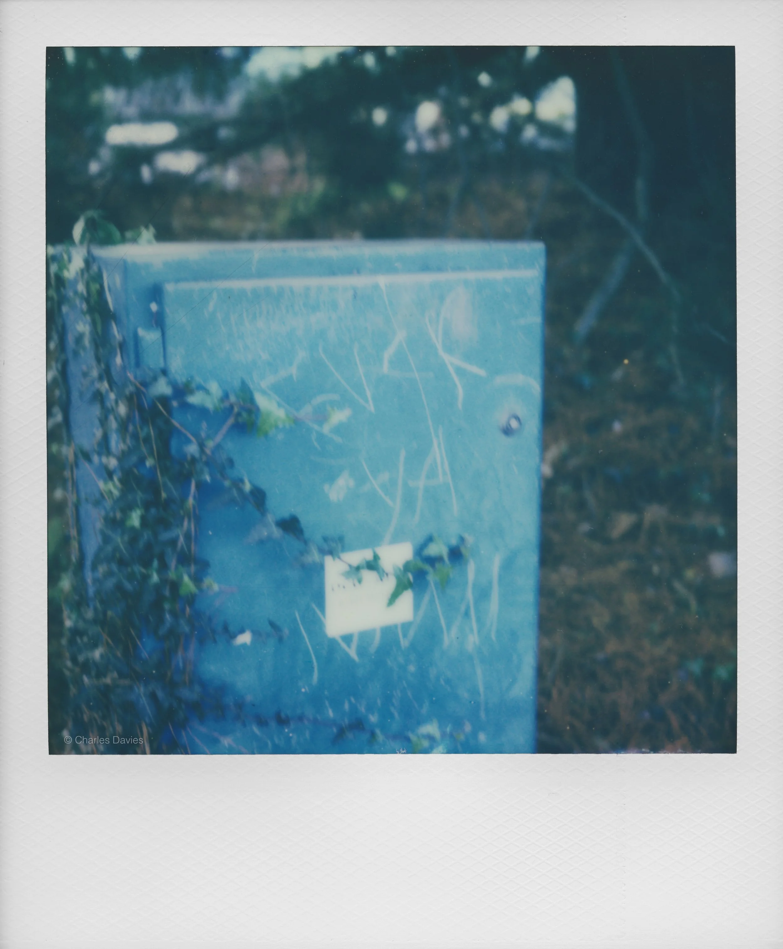78 - 2022 - Polaroid SX-70 Sonar.jpg