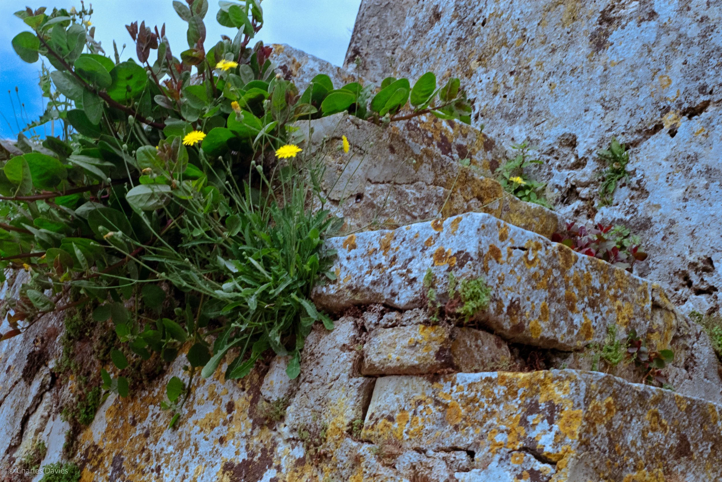 Image 24 - Aperture Priority 