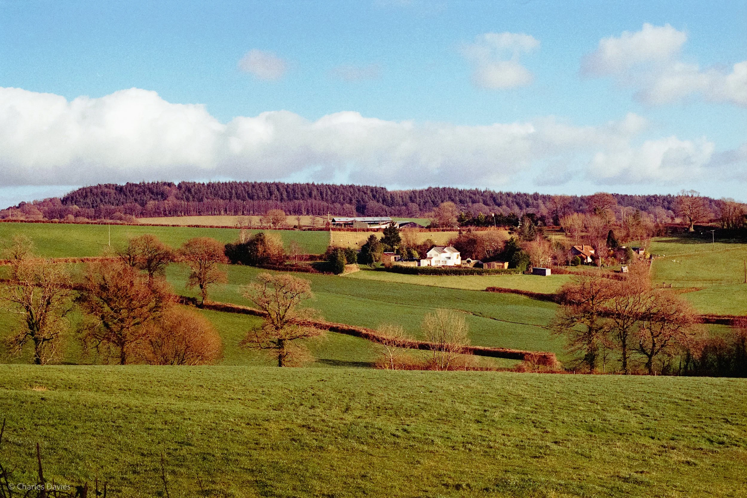 Roll 20 - 2025 - Europe - United Kingdom - Shute - Kodak ColorPlus 200 - Contax RTS - 35mm - Film - Colour 