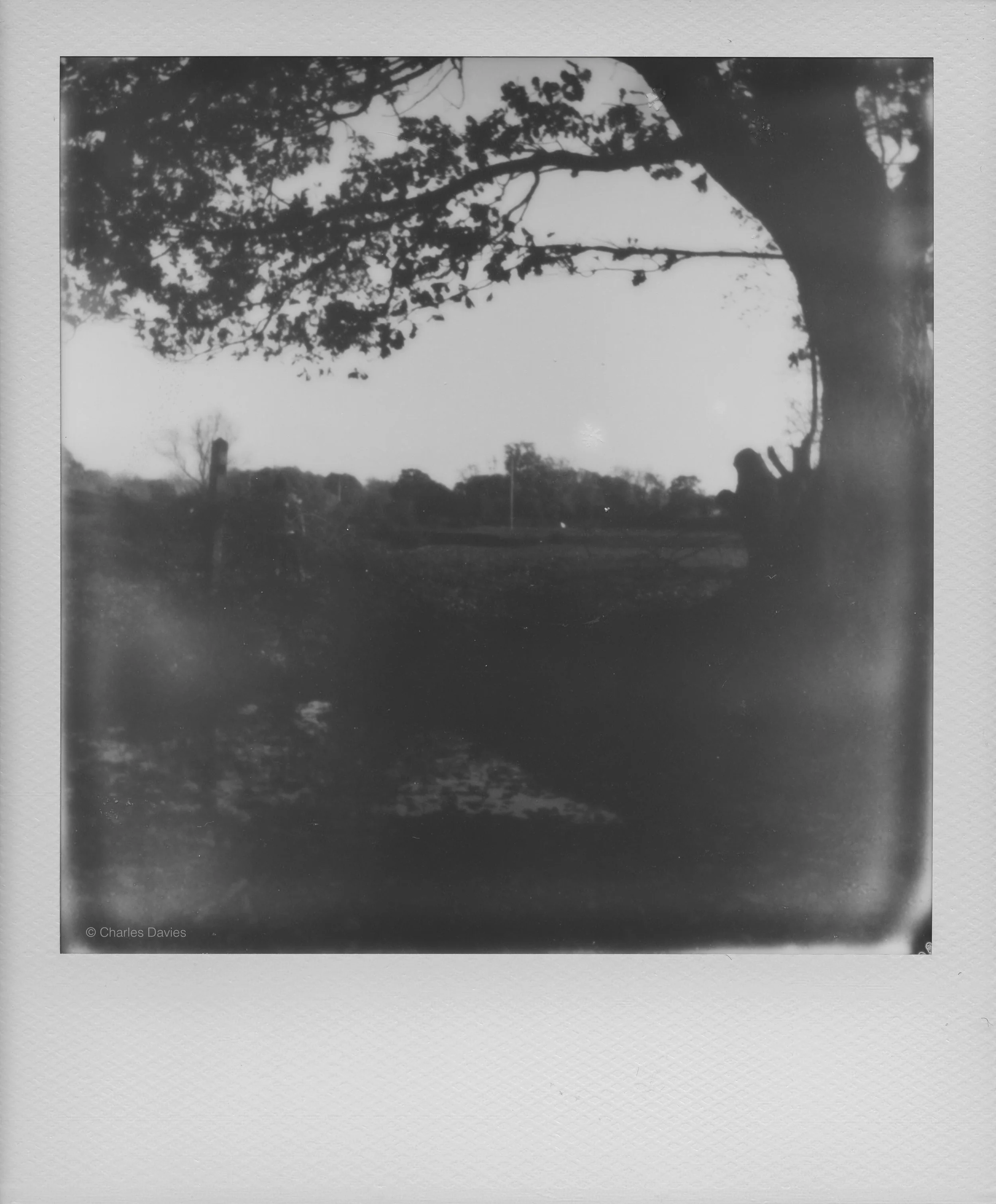 110 - 2022 - Polaroid Now.jpg