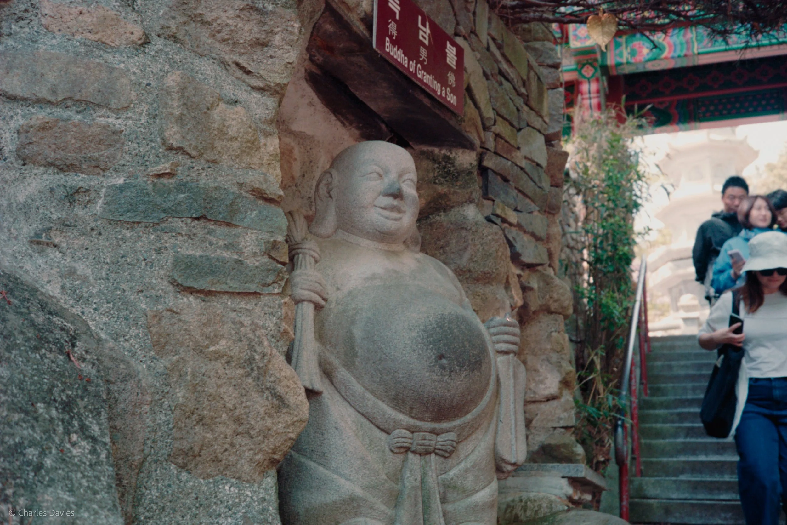Roll 6 - 2023 - South East Asia - South Korea - Busan - Kodak Portra 160 - Olympus 35DC - 35mm - Film - Colour 