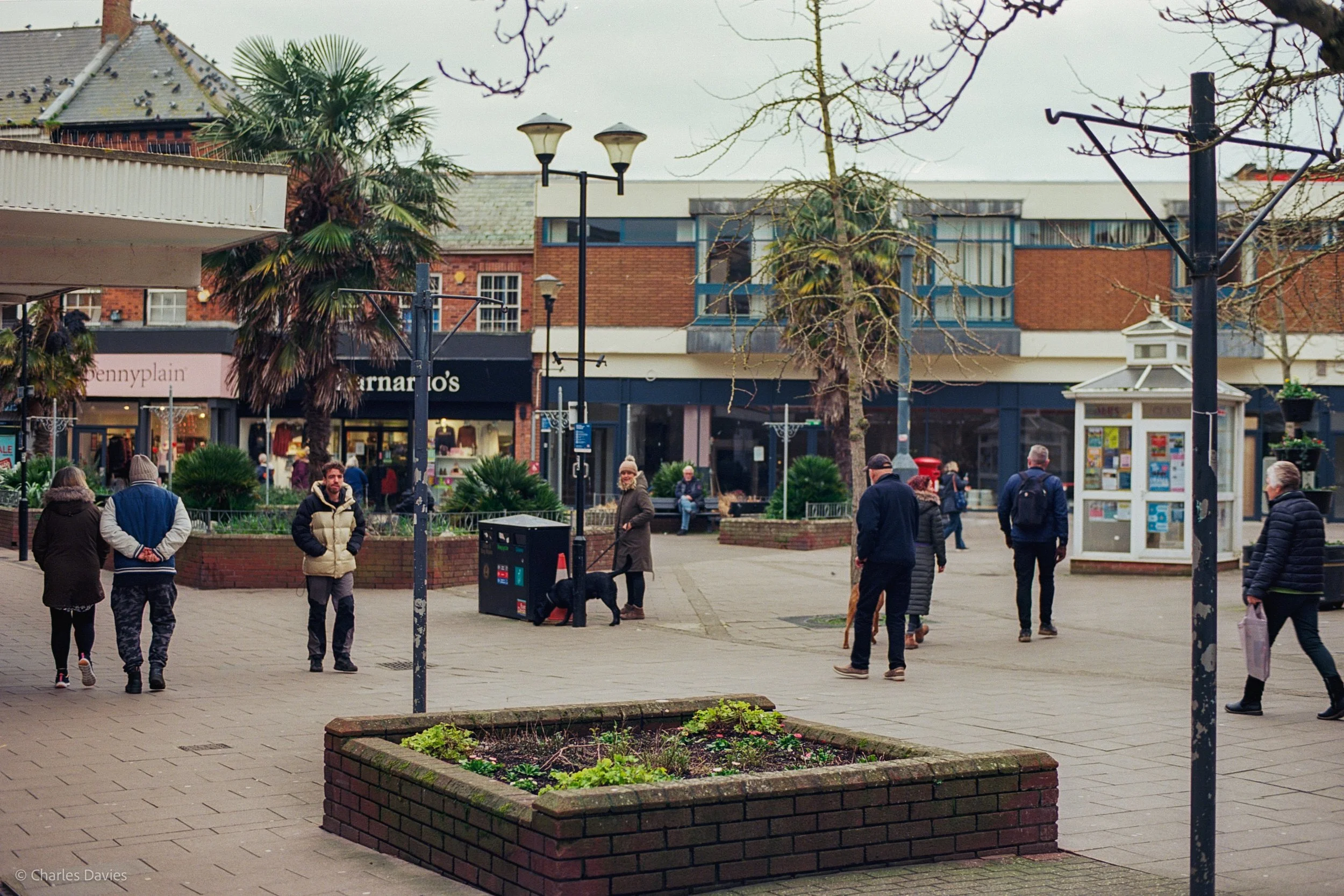 Roll 22 - 2025 - Europe - United Kingdom - Exmouth - Kodak Ektar 100 - Contax RTS - 35mm - Film - Colour