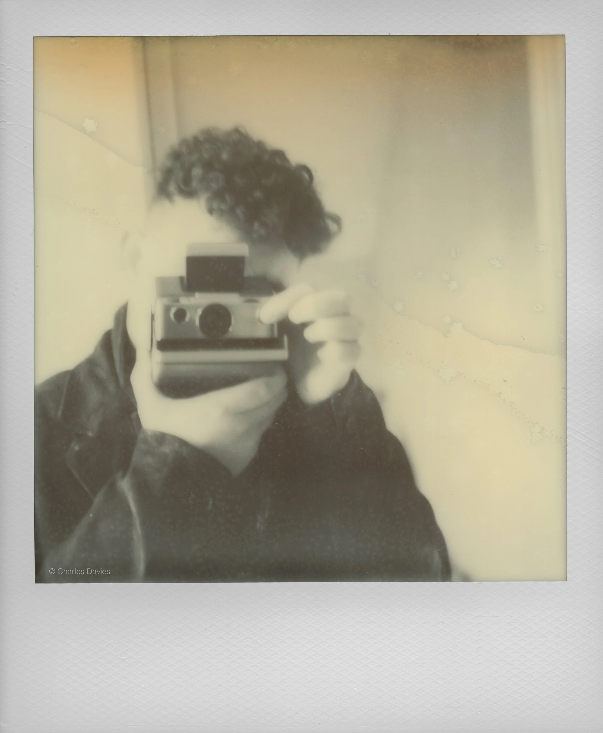 103 - 2022 - Polaroid SX-70 (aged).jpg