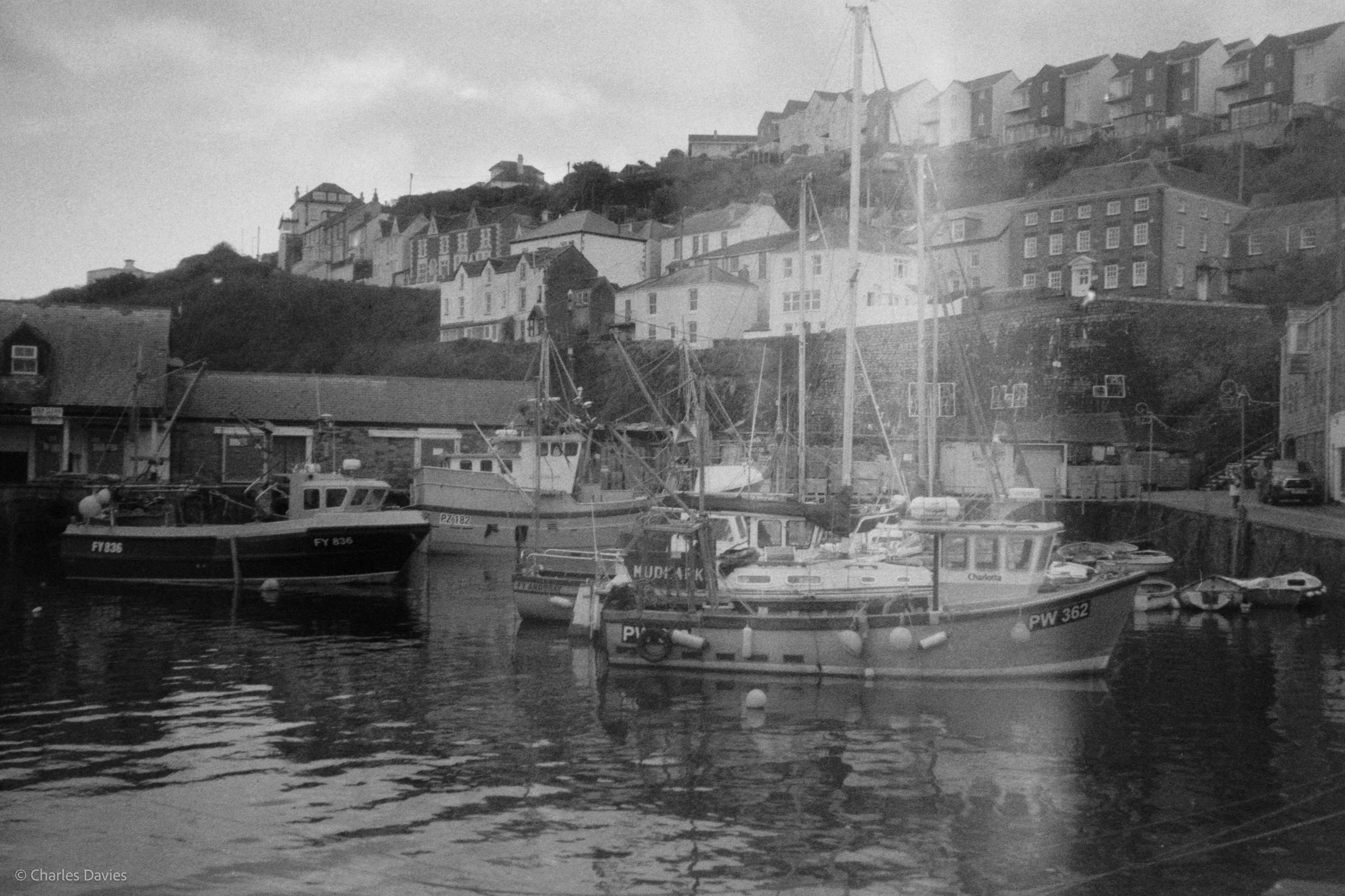 Image-1.jpg