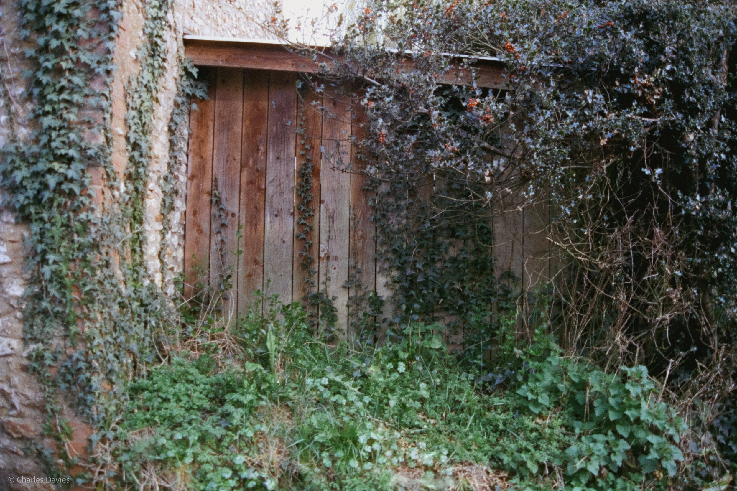 Shot 24 - Auto - Home 