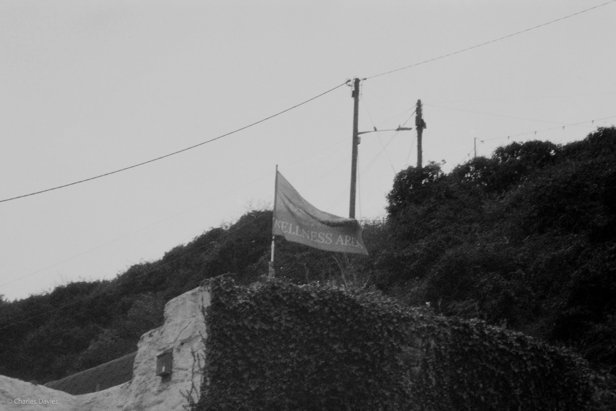 Image-15.jpg