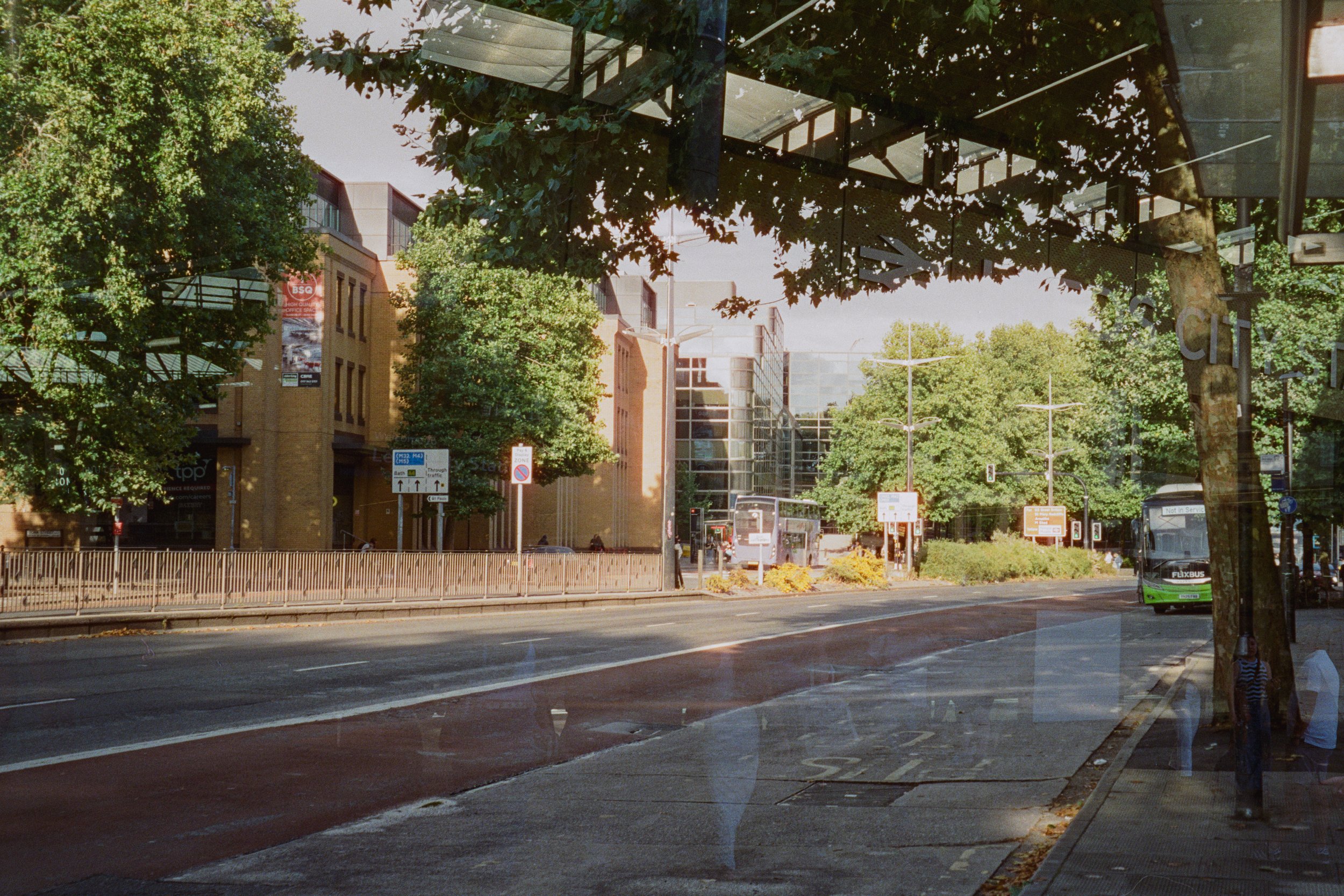 010.jpg