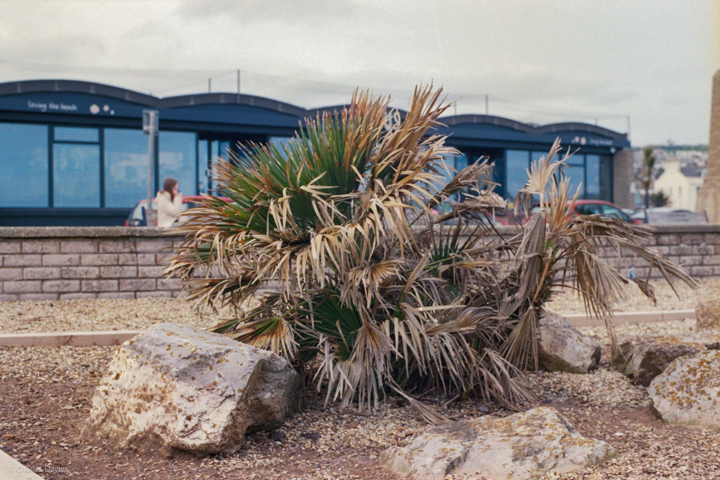 Roll 26 - 2025 - Europe - United Kingdom - Teignmouth - Kodak UltraMax 400 - Contax RTS - 35mm - Film - Colour 