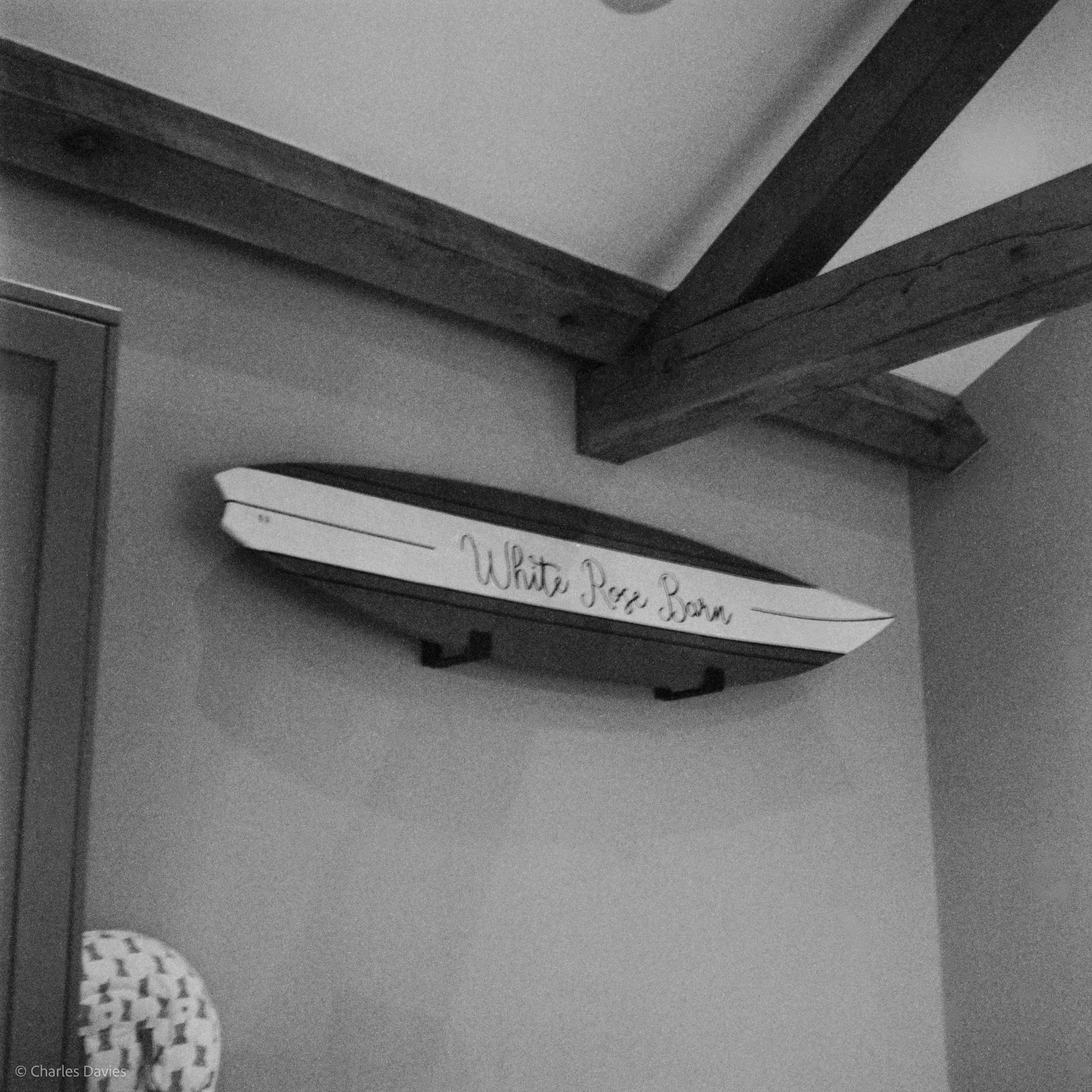 Image-3.jpg