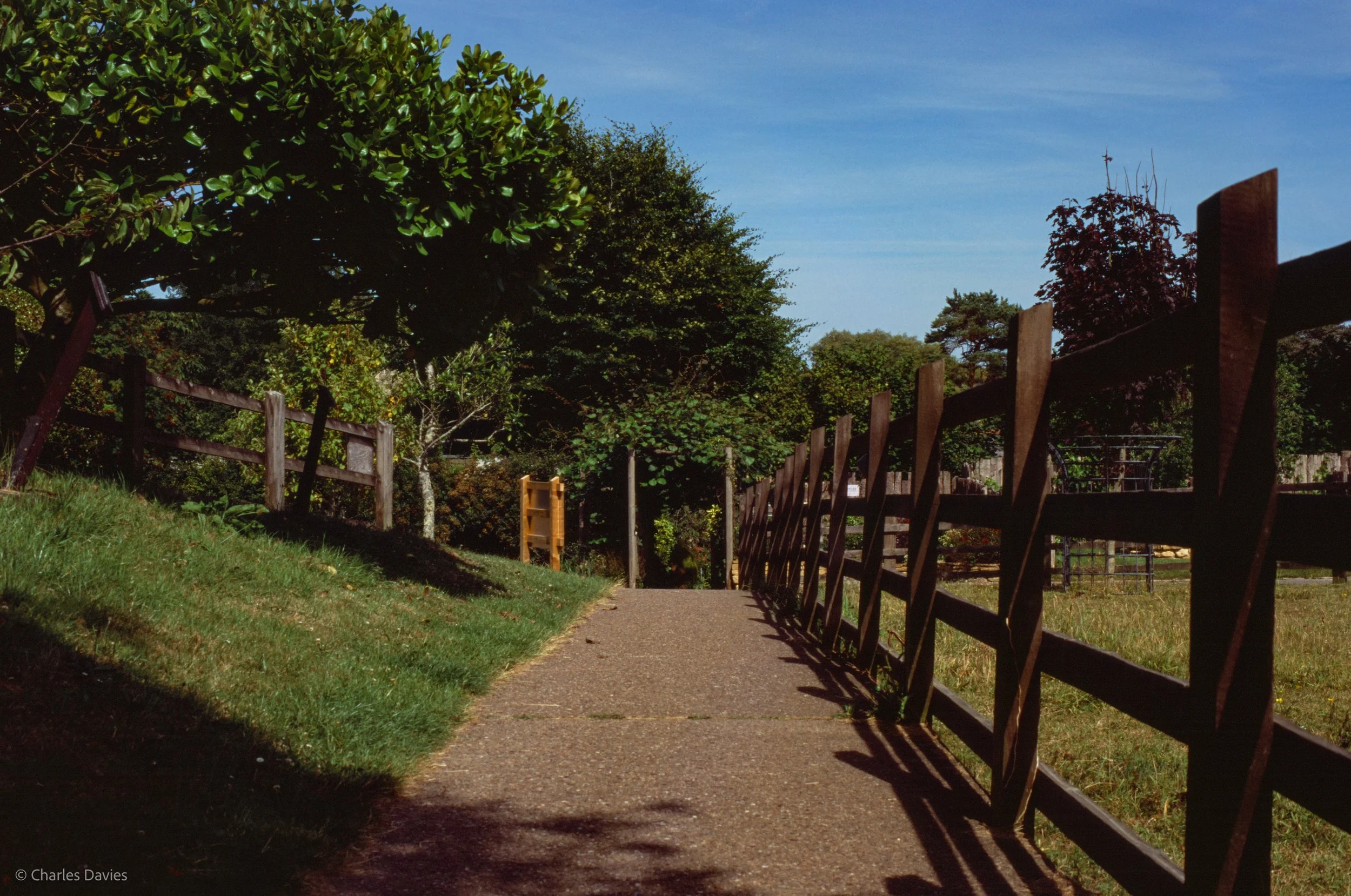 Roll 41 - 2025 - Europe - United Kingdom - The Donkey Sanctuary - Fujifilm Velvia 100 - Contax RTS - 35mm - Film - Colour - Colour Reversal/Slide Film