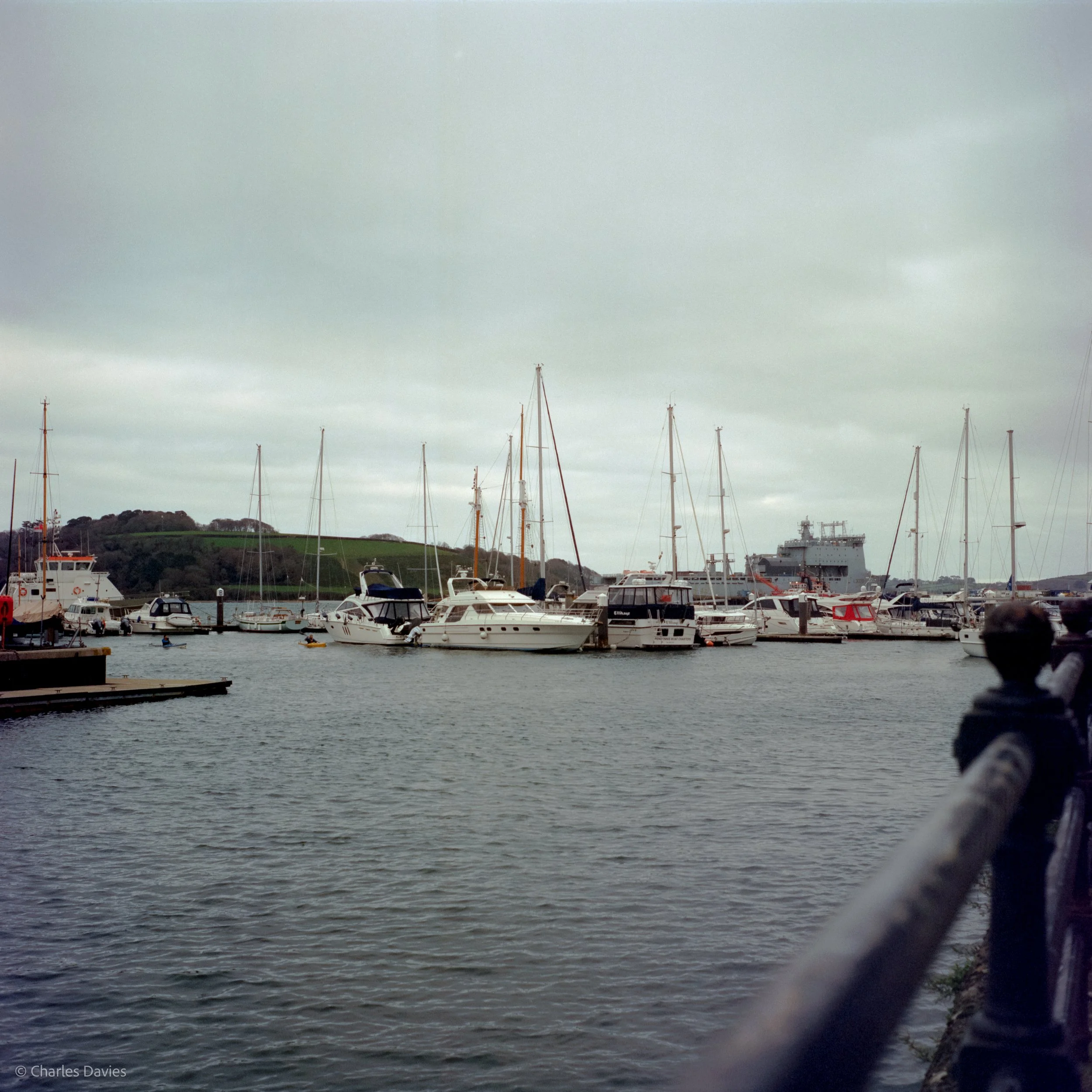 Image-10.jpg