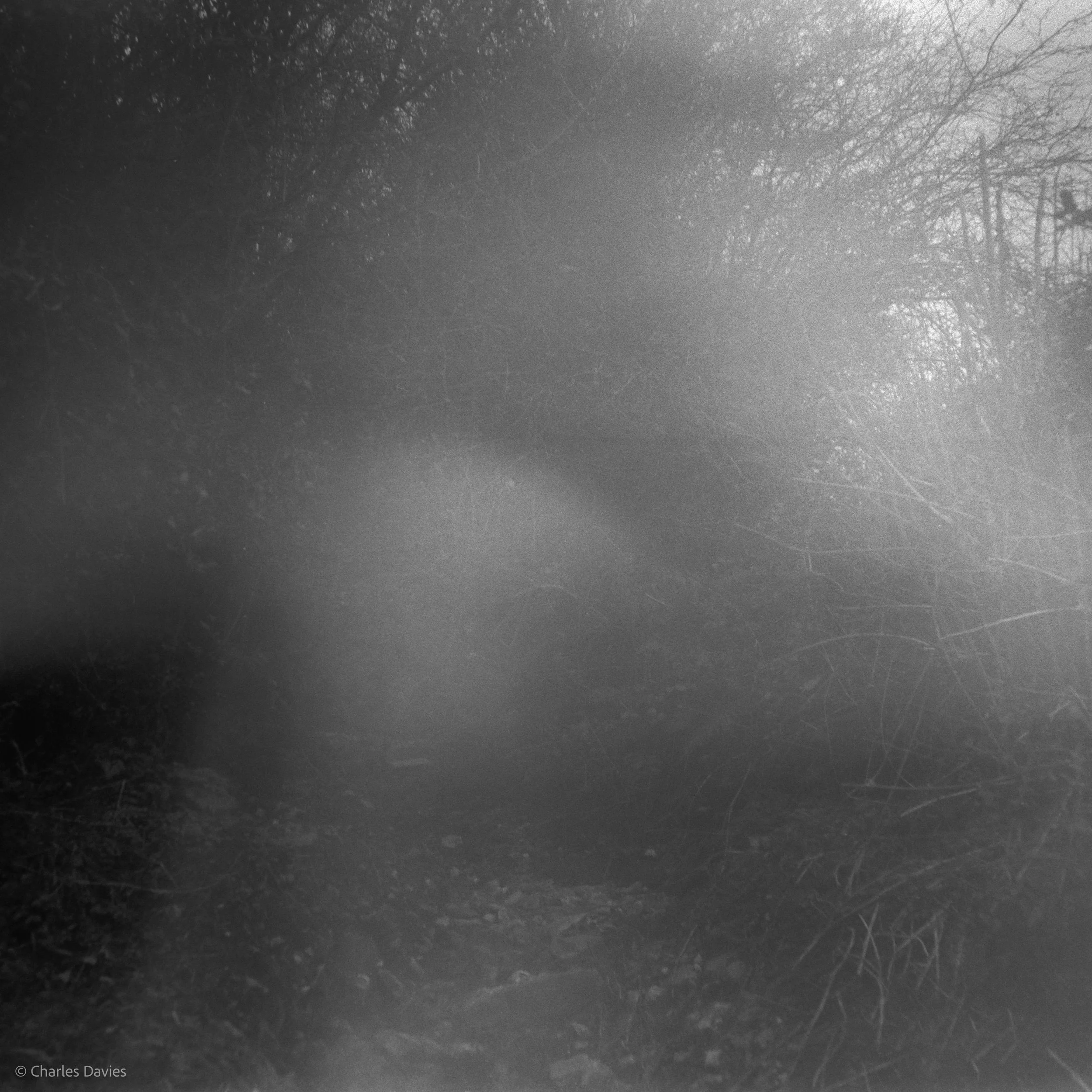 Roll 23 - 2025 - Europe - United Kingdom - Shute - Ilford HP5 Plus 400 - Agfa Isola - 120 Medium Format - Film - B&W