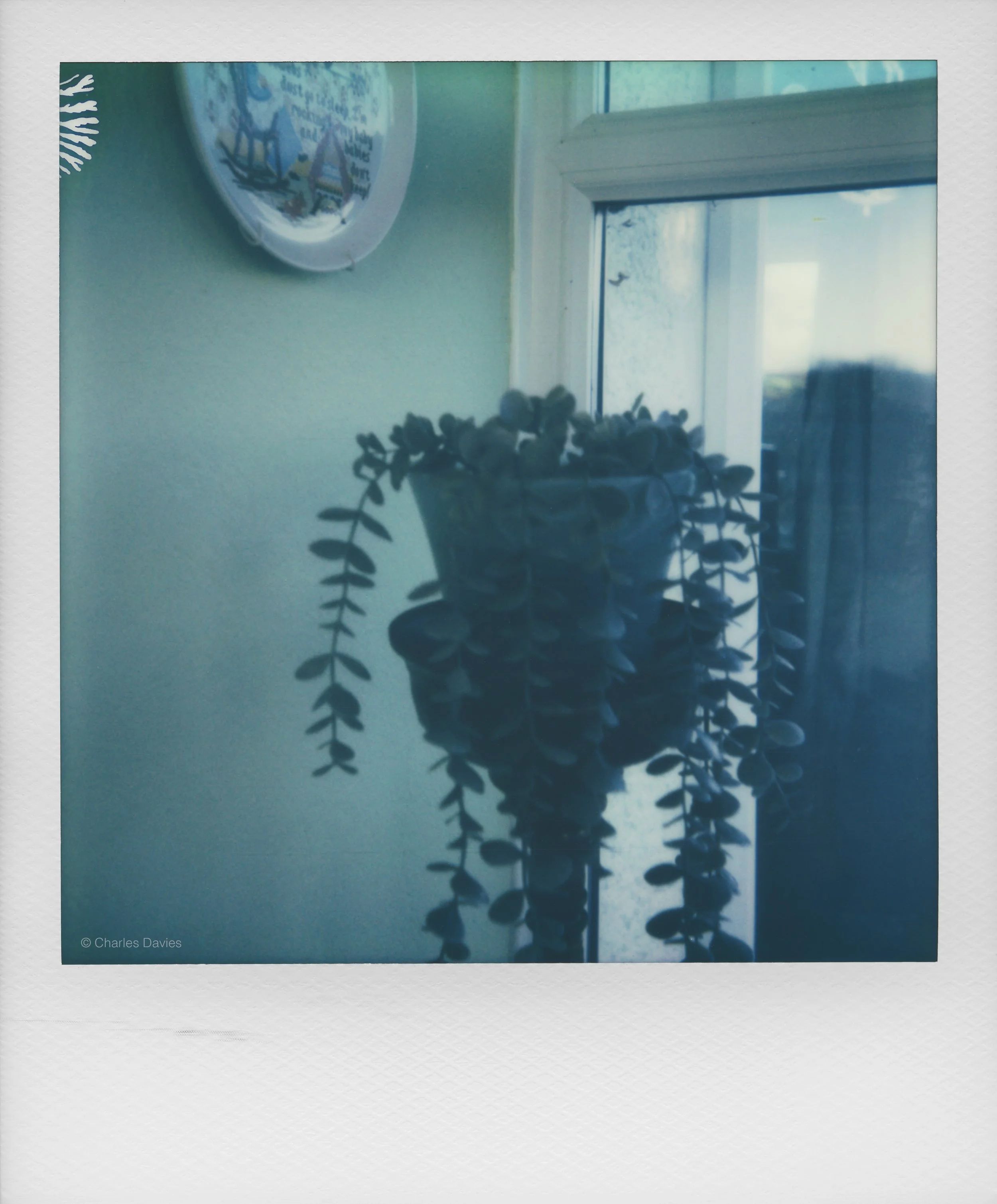 6 - 2023 - Polaroid Now.jpg
