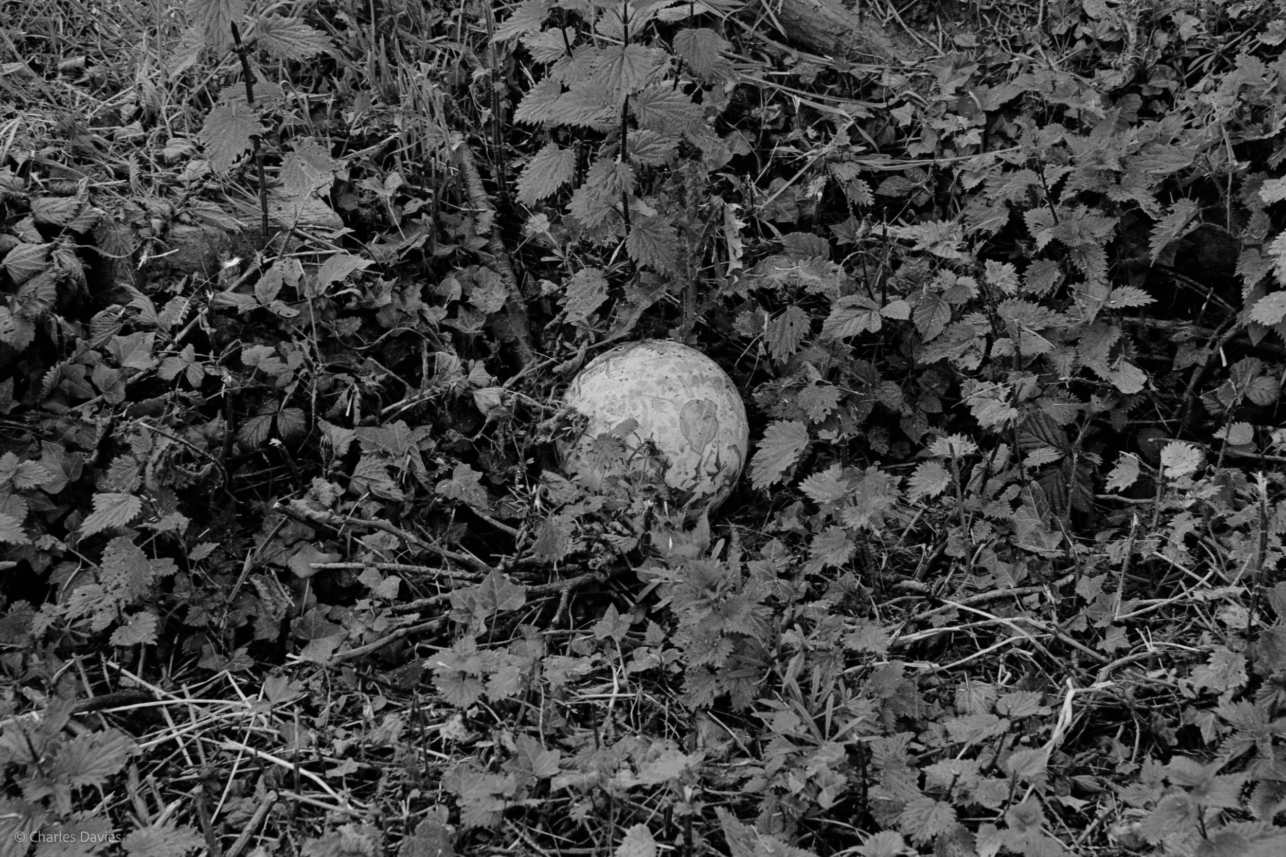 Shot 23 - Shutter Priority - Shute 
