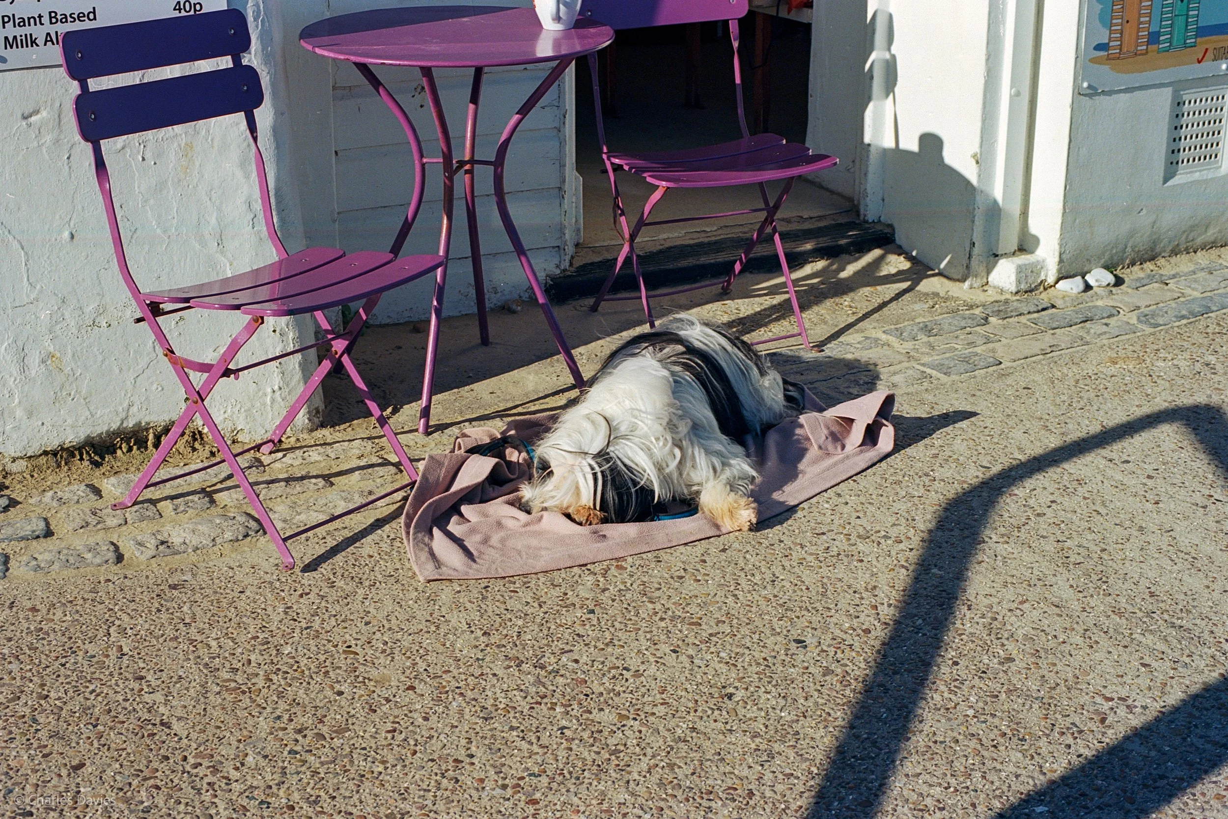Roll 22 - 2025 - Europe - United Kingdom - Lyme Regis - Kodak Ektar 100 - Contax RTS - 35mm - Film - Colour