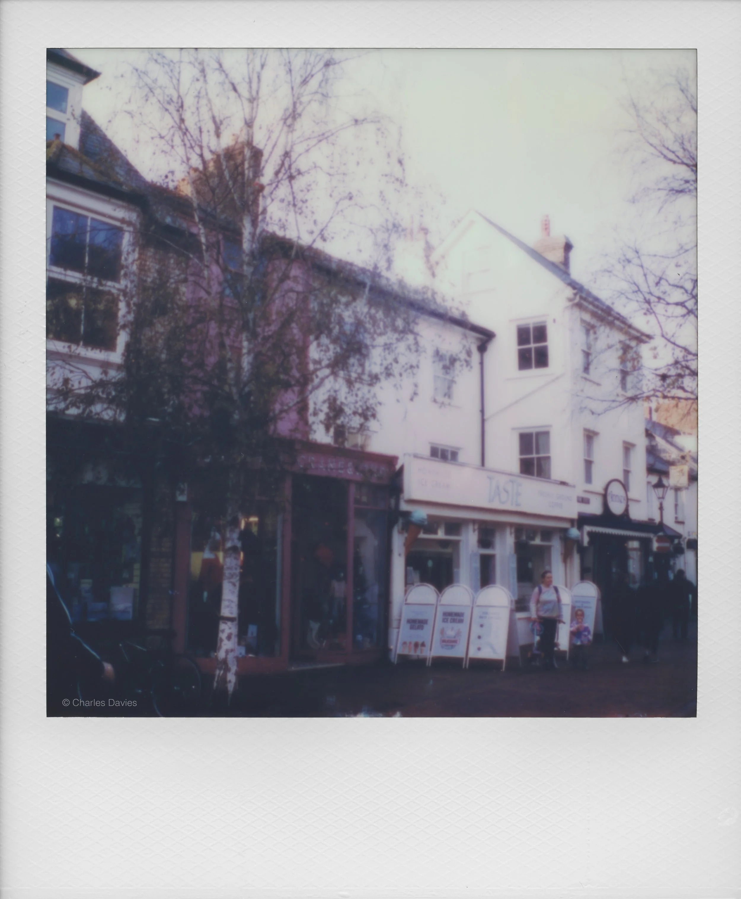 69 - 2022 - Polaroid SX-70.jpg