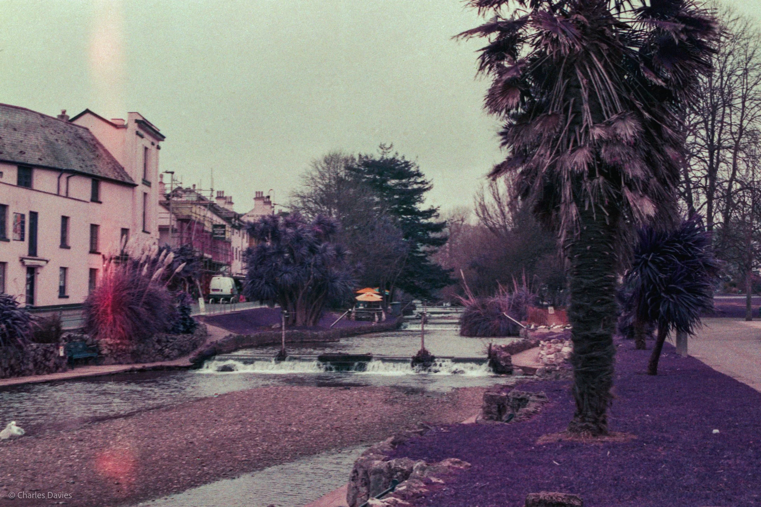 Roll 24 - 2025 - Europe - United Kingdom - Dawlish - Lomo Purple - Contax RTS - 35mm - Film - Colour