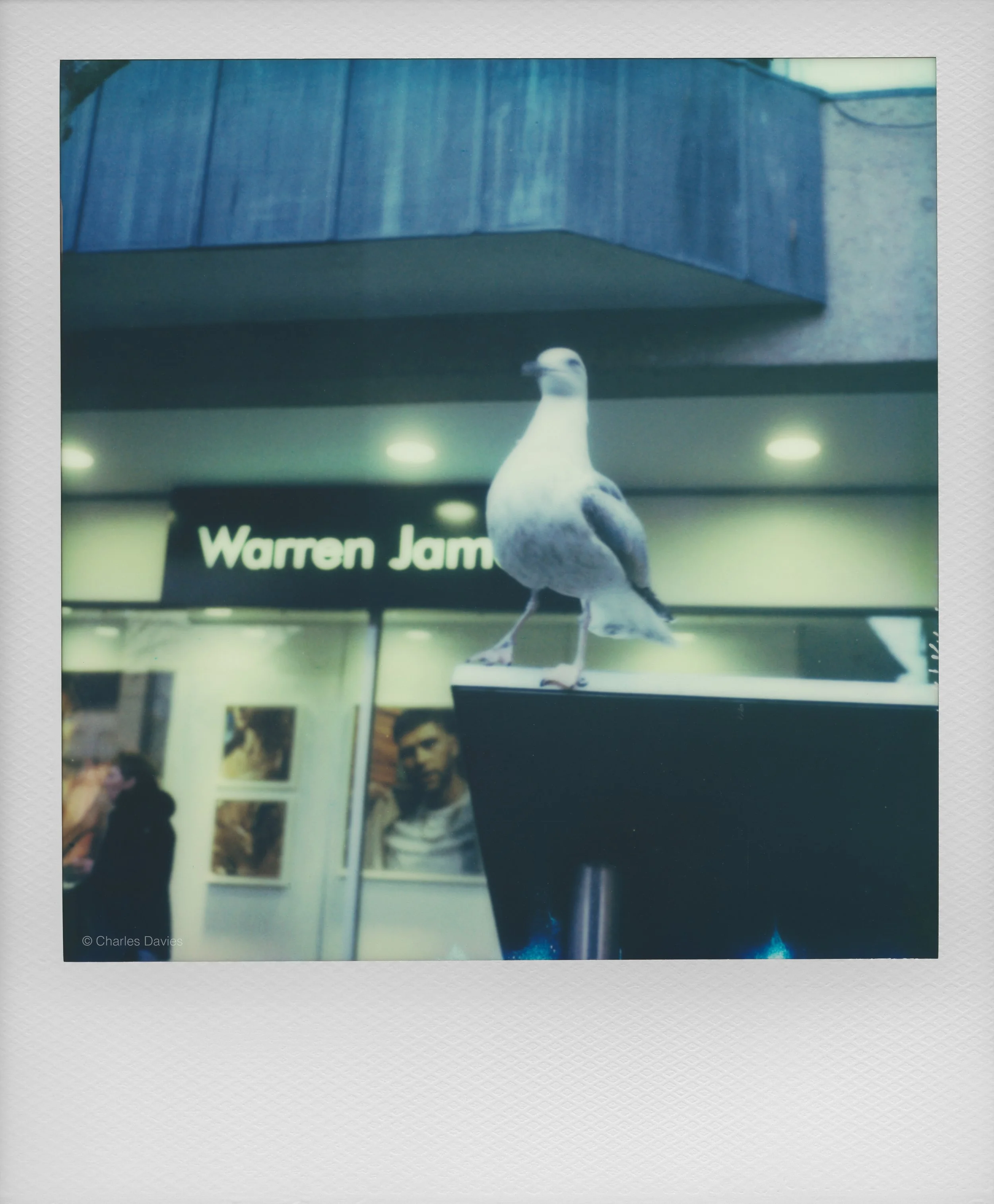 12 - 2023 - Polaroid SX-70 Sonar.jpg
