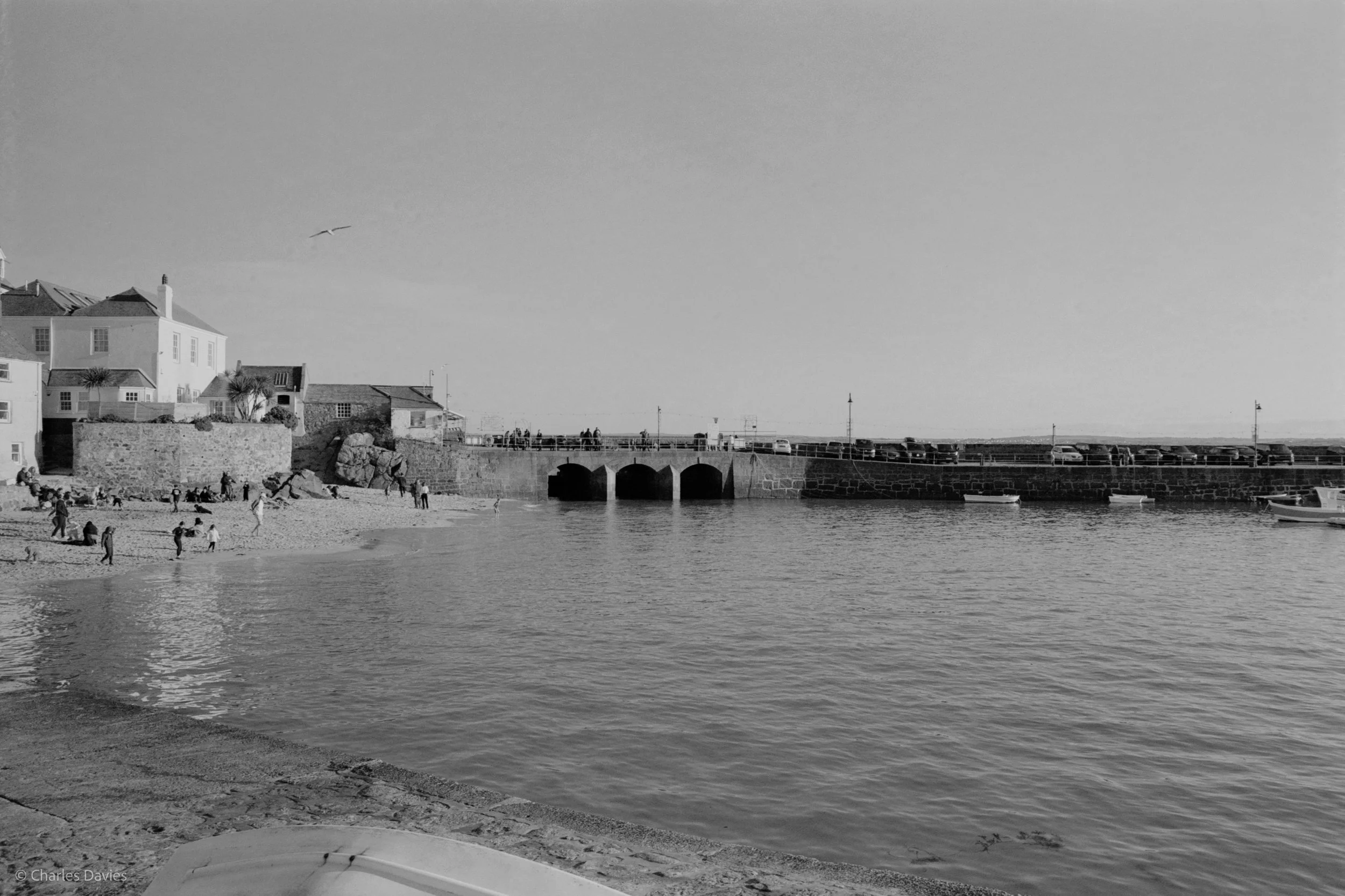 Image-4.jpg