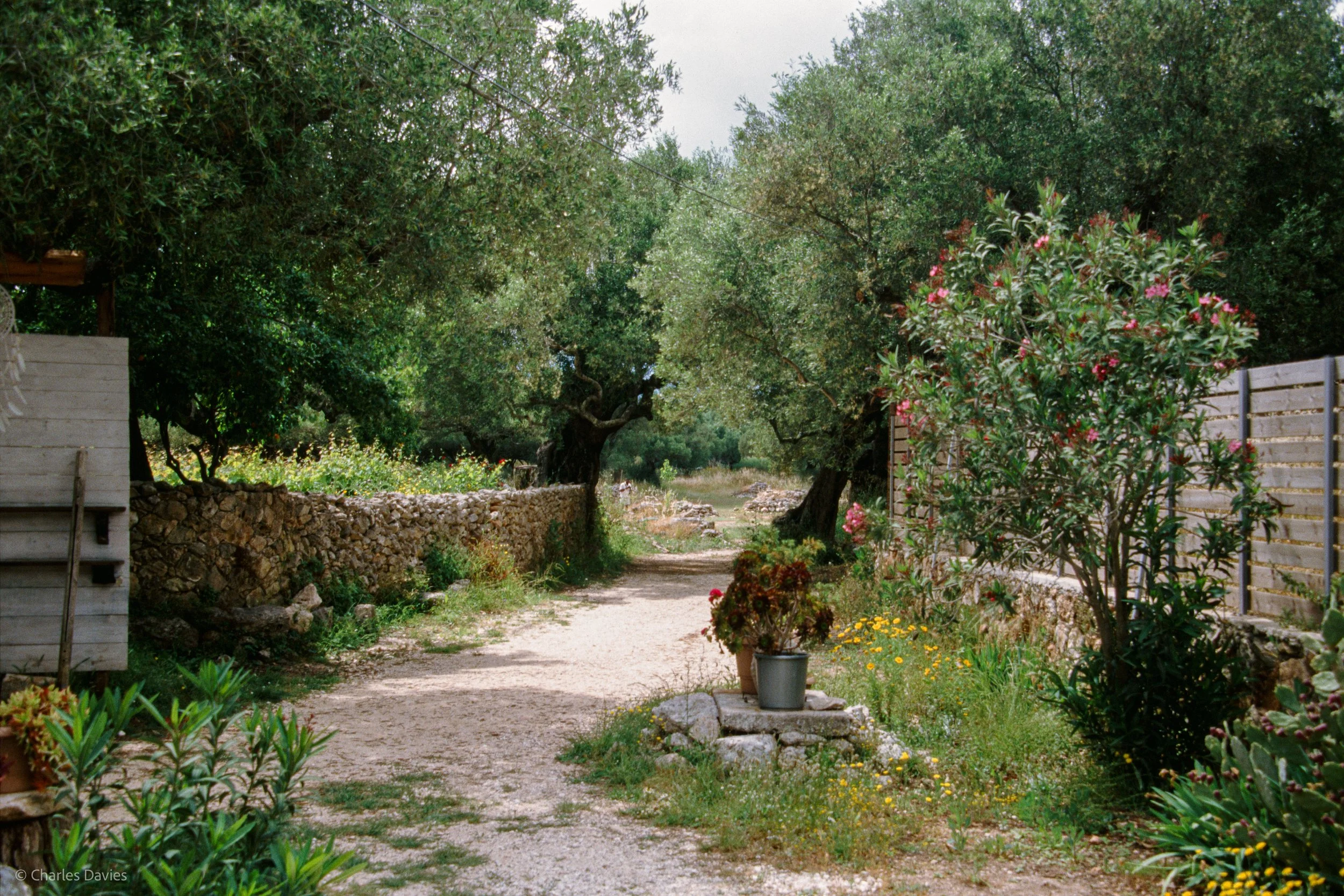  Image 25 - Aperture Priority 