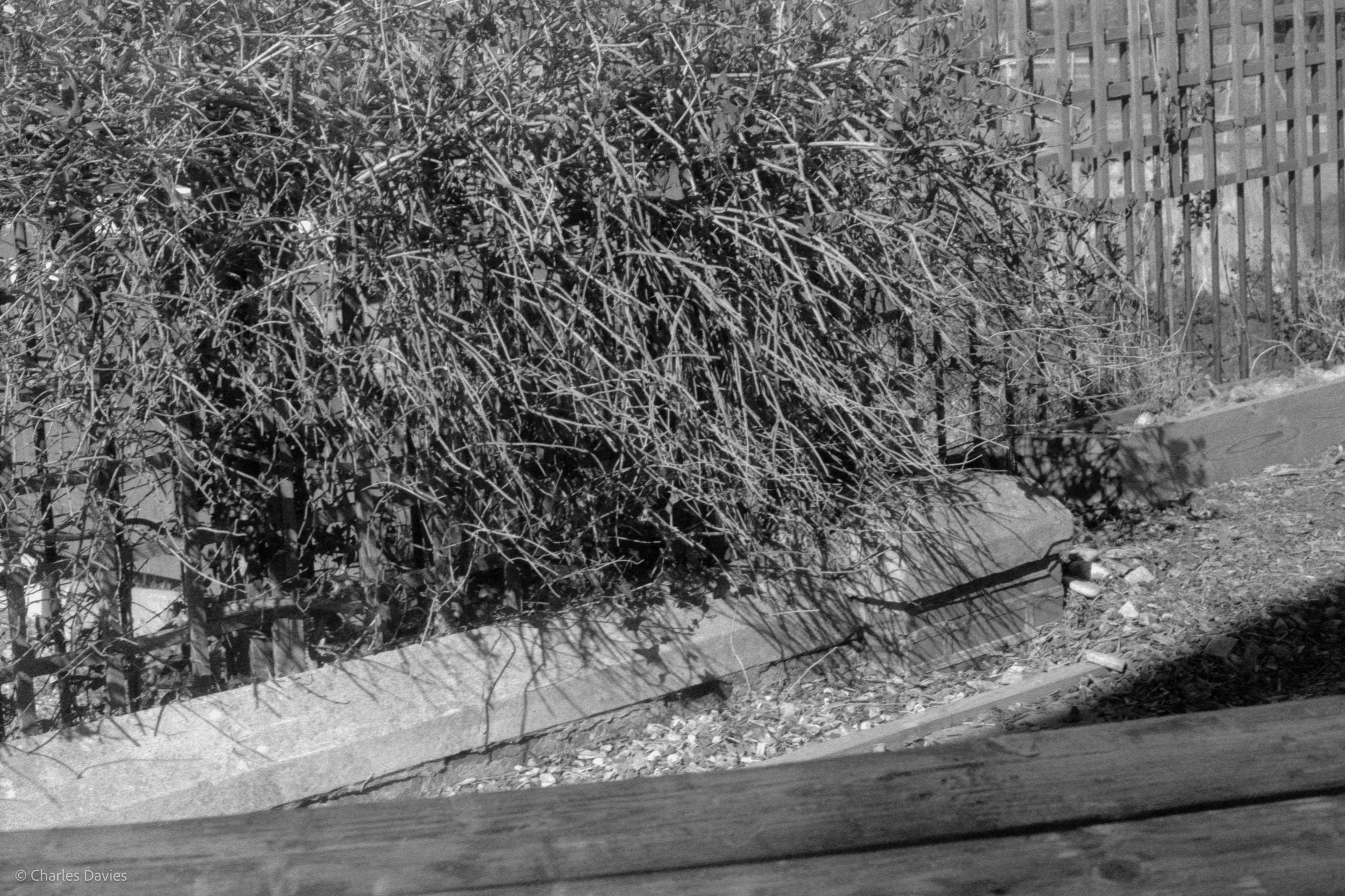 Shot 1 - Aperture Priority - Axminster