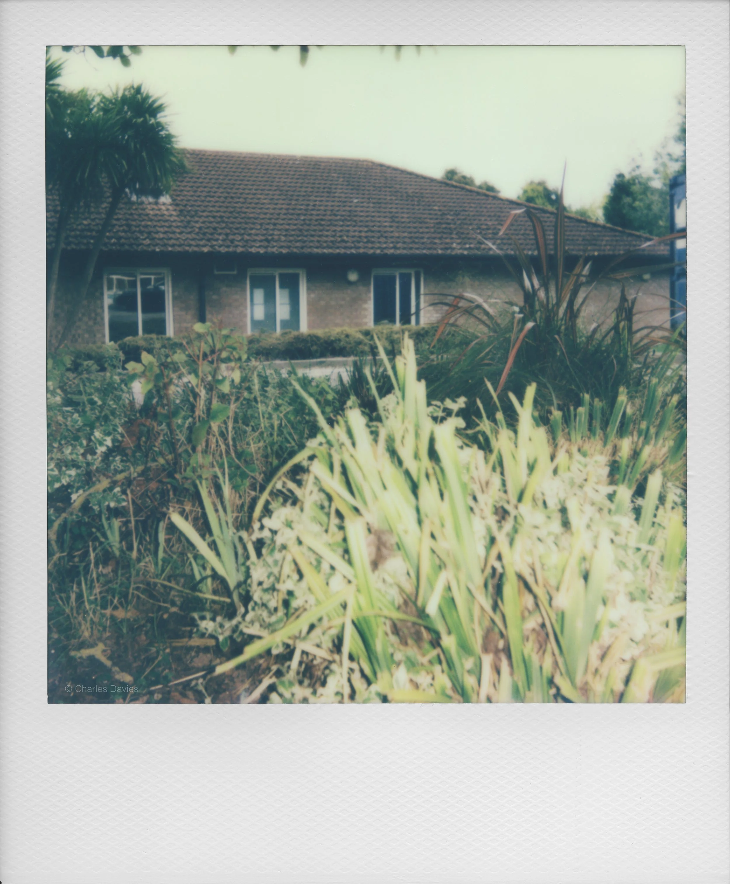 100 - 2022 - Polaroid Now.jpg