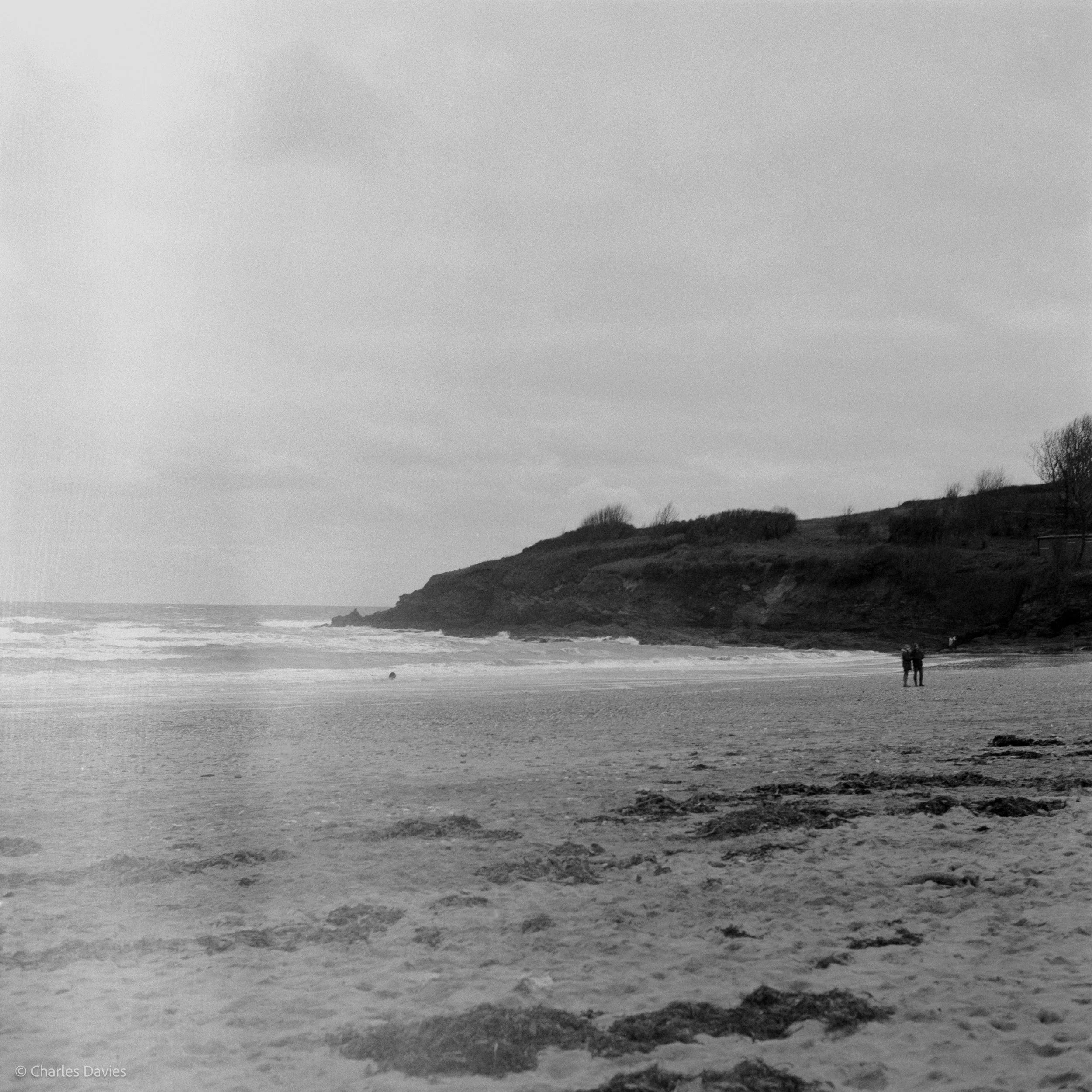 Image-7.jpg