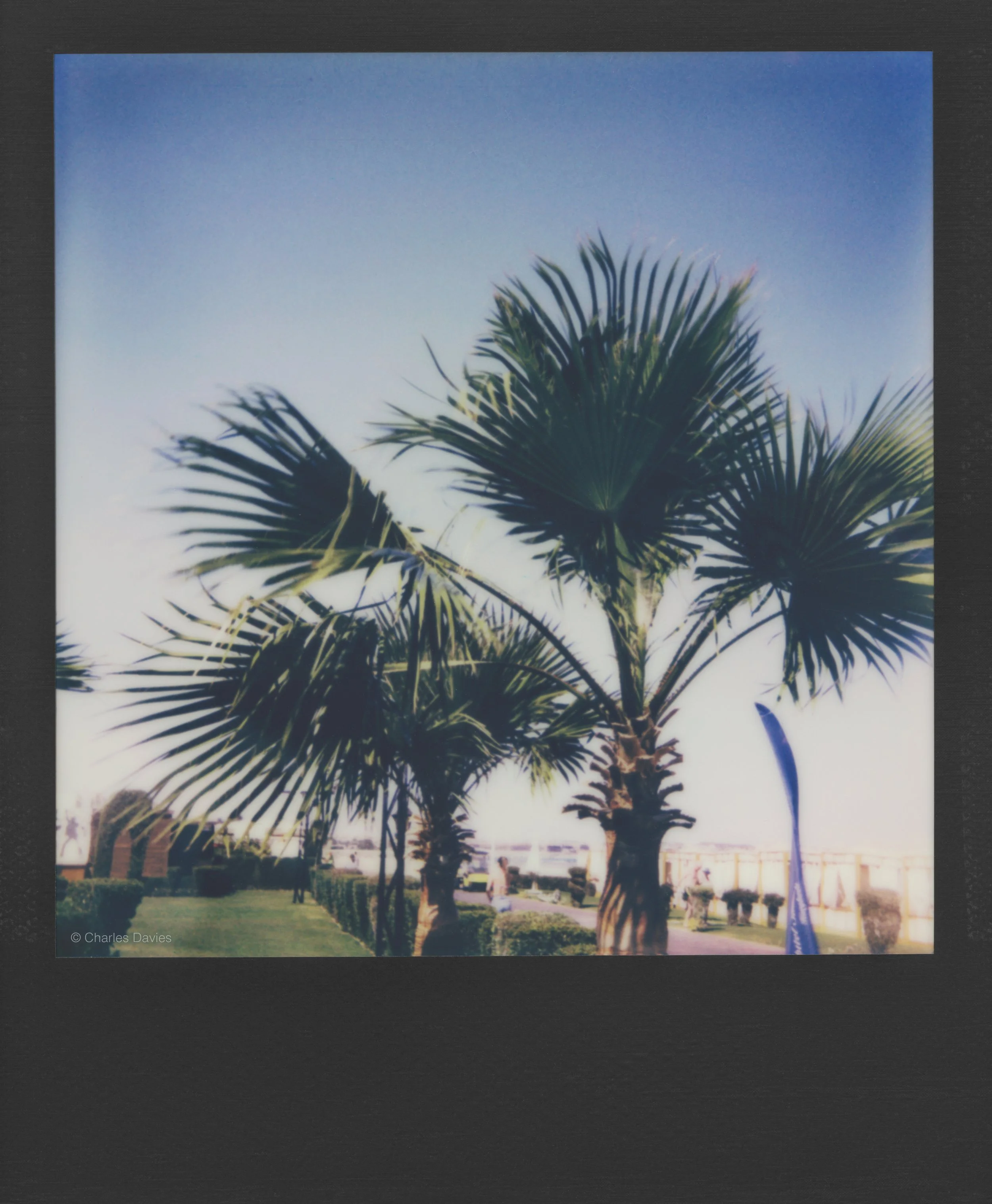 34 - 2023 - Polaroid Now.jpg