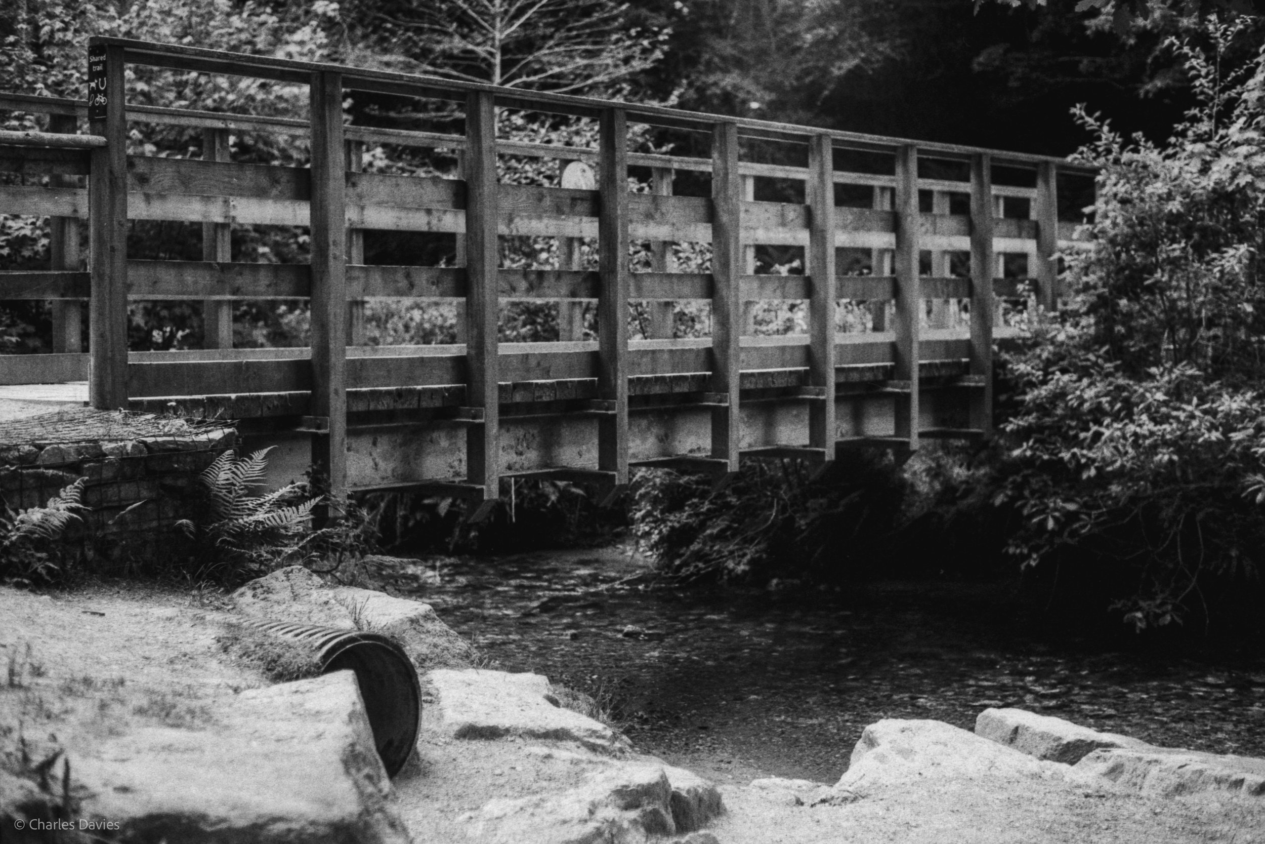 Roll 31 - 2025 - Europe - United Kingdom - Cardinham - Fomapan 400 - Contax RTS - 35mm - Film - B&W
