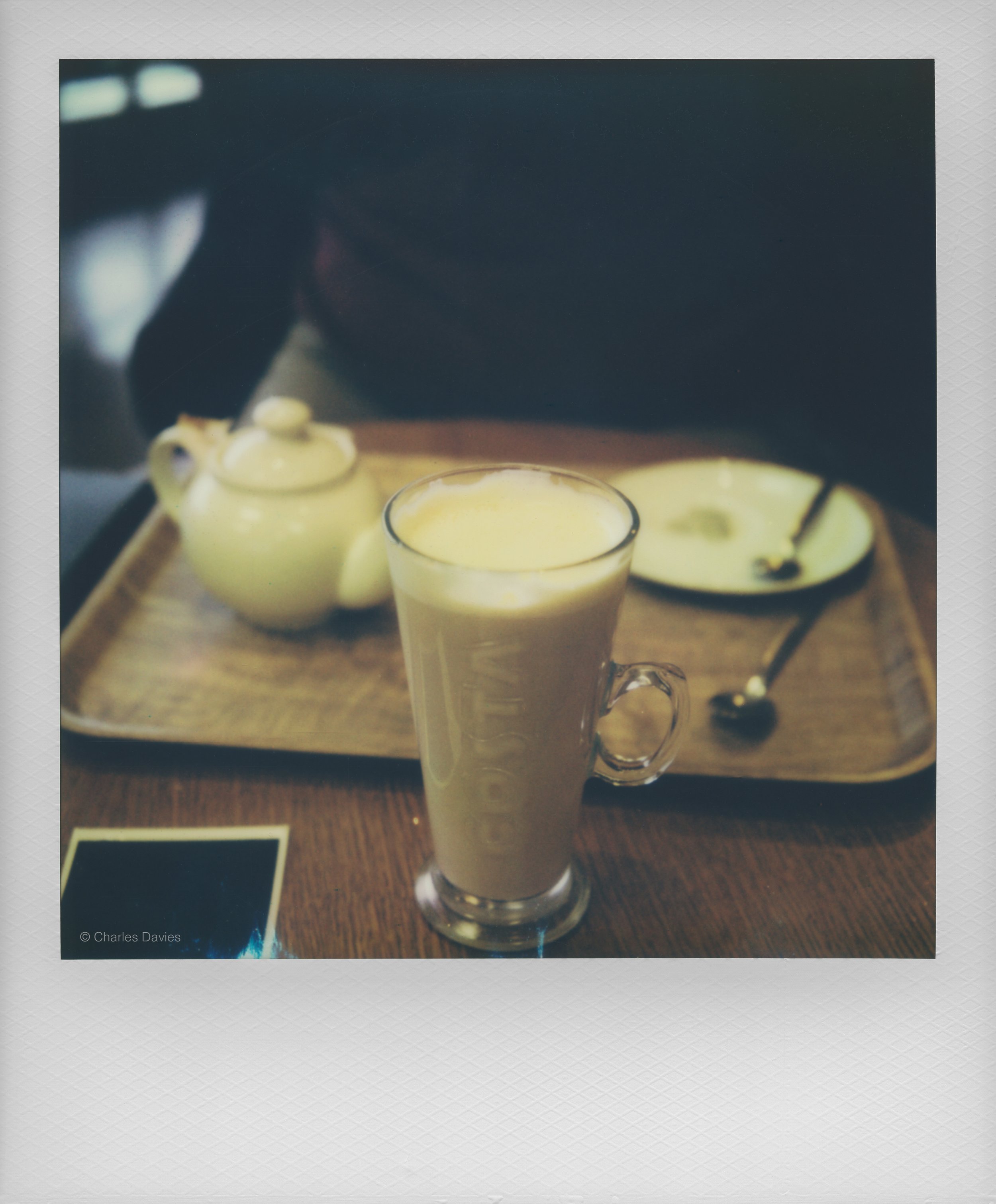 18 - 2023 - Polaroid SX-70.jpg