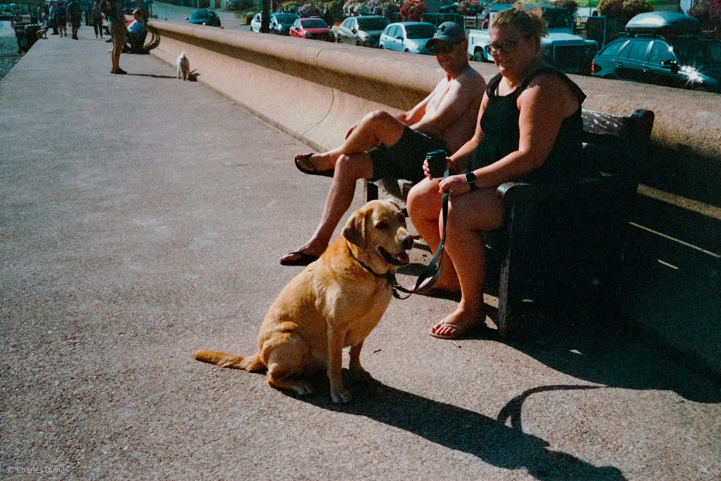 Roll 12 - 2023 - Europe - United Kingdom - Seaton - Kodak UltraMax 400 - Olympus 35DC - 35mm - Film - Colour 