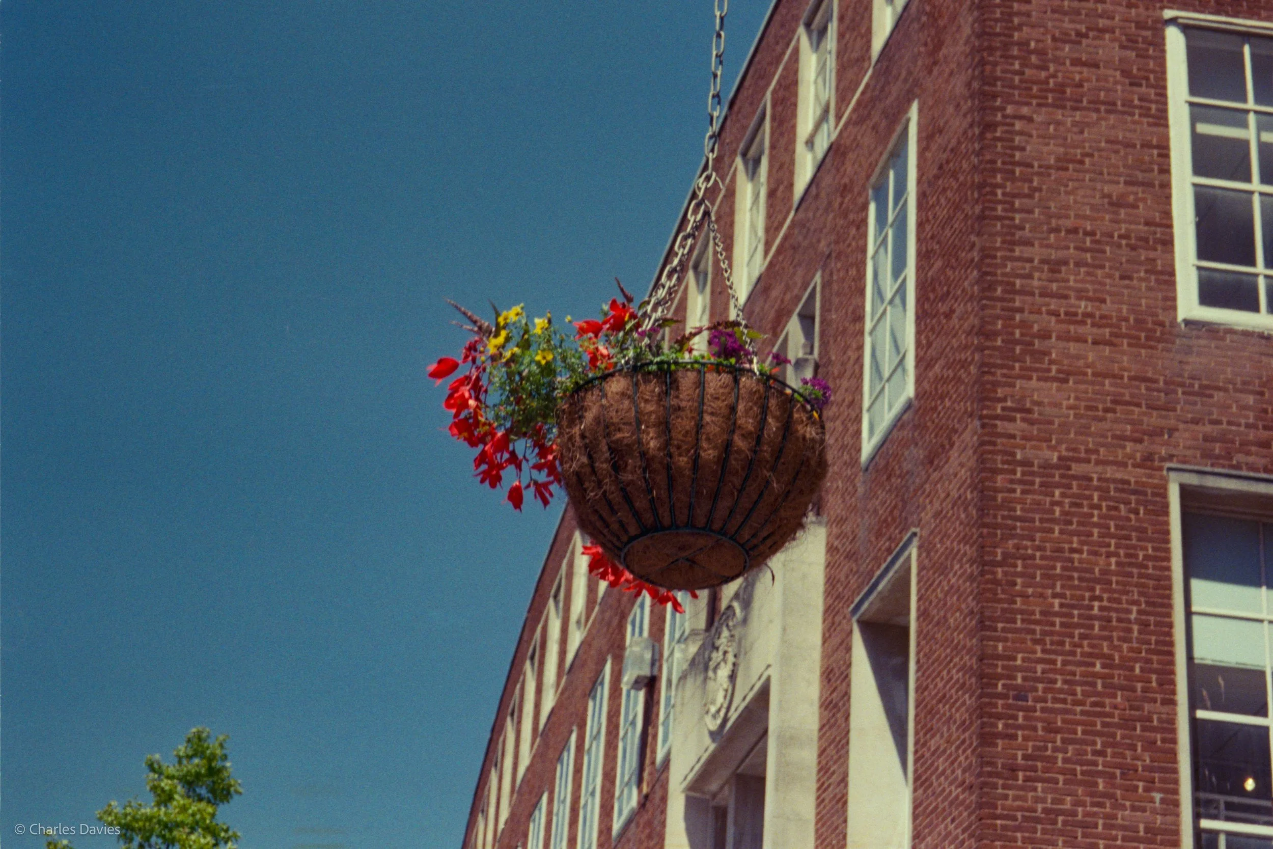 Roll 42 - 2025 - Europe - United Kingdom - Exeter - Kodak UltraMax 400 - Pentax Espio 738S - 35mm - Film - Colour