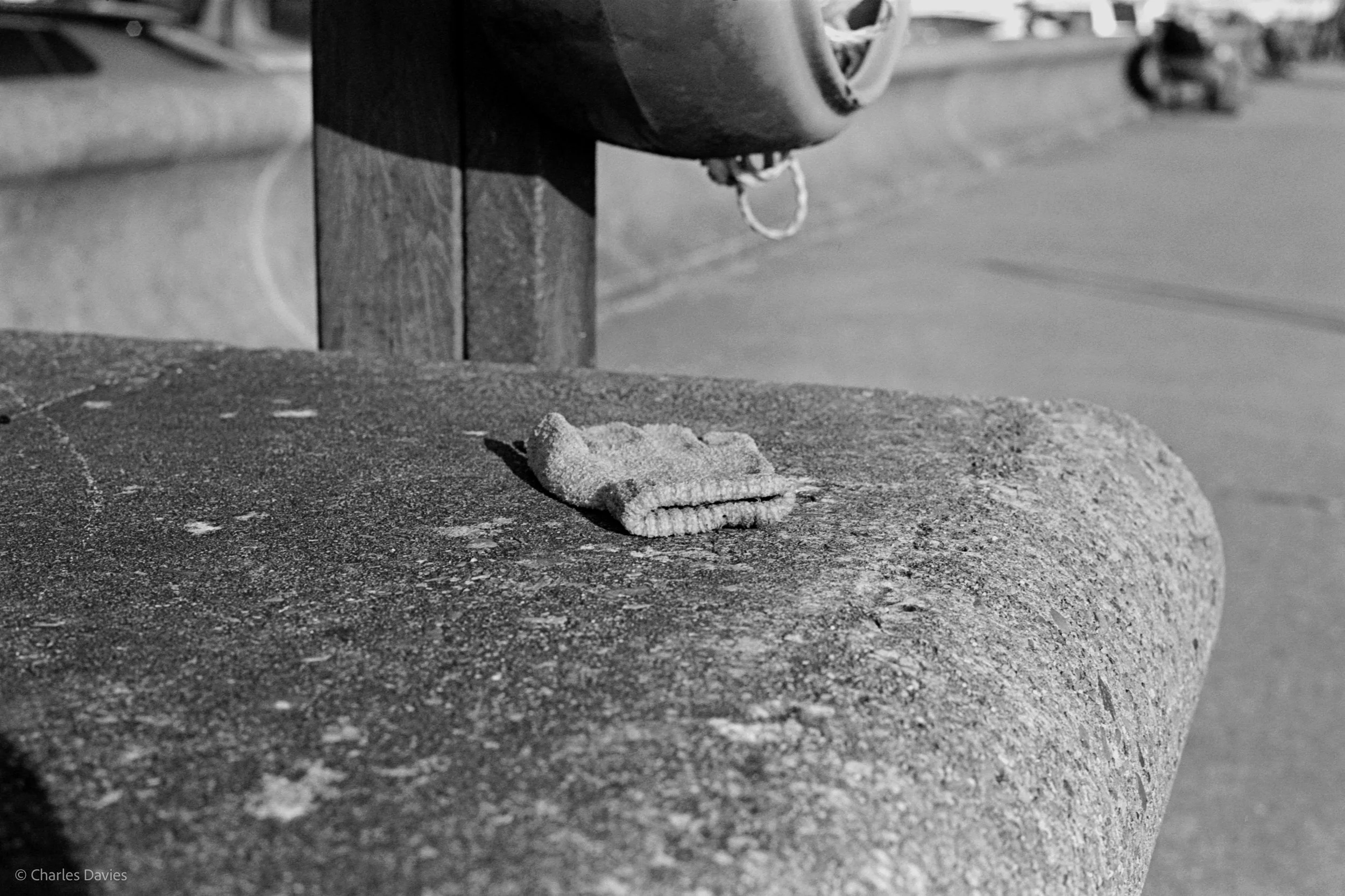 Shot 8 - F/8 + 1/125th - Seaton 