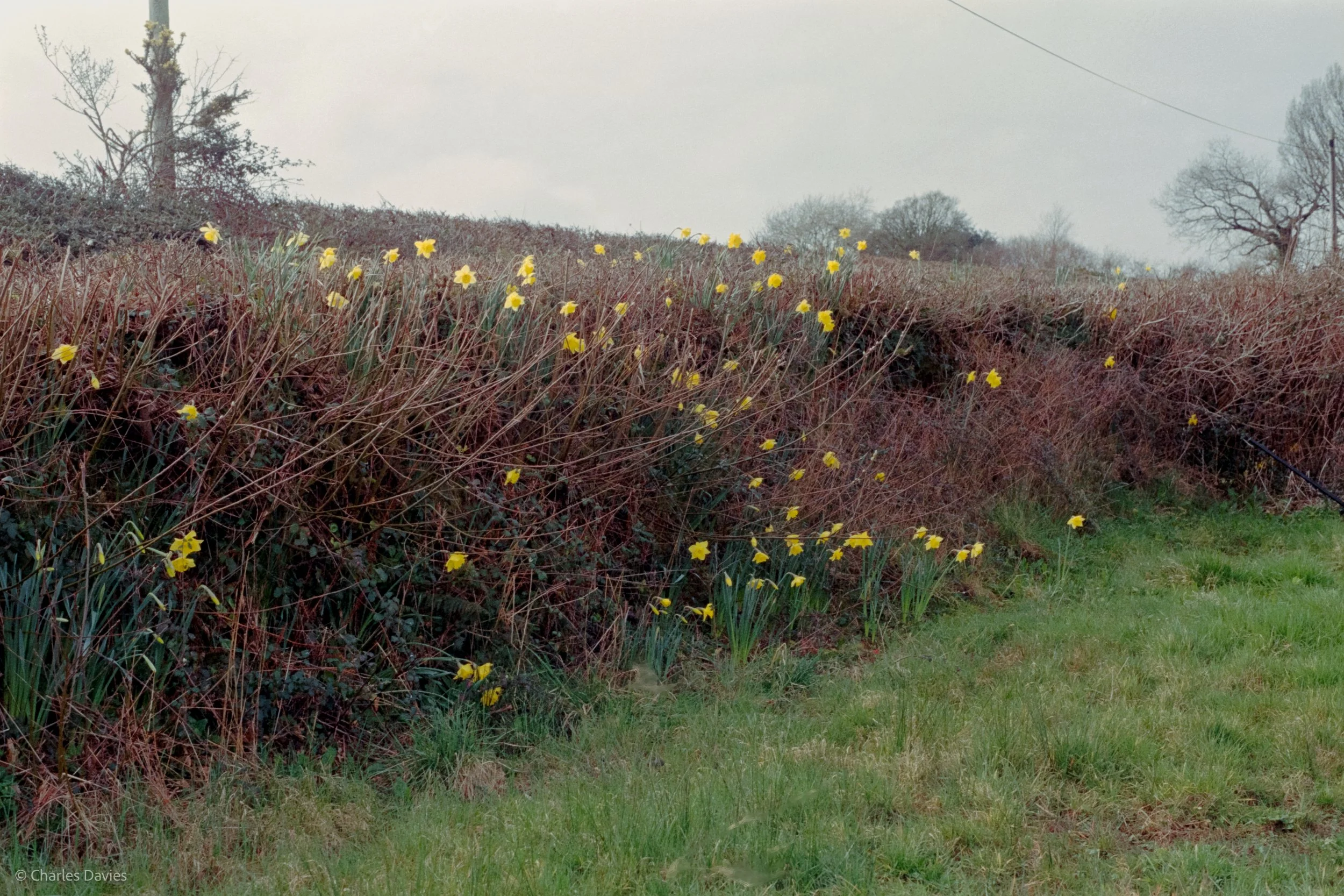 Shot 30 - F/8 + 1/250th - Home  