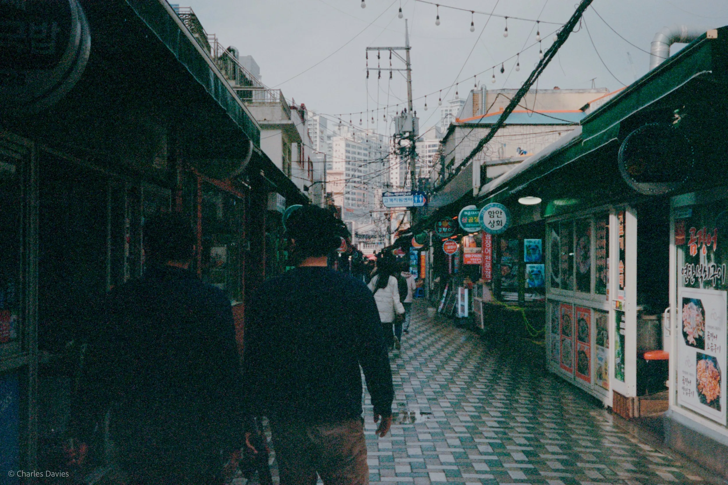 Roll 5 - 2023 - South East Asia - South Korea - Busan - Kodak Portra 400 - Olympus 35DC - 35mm - Film - Colour 
