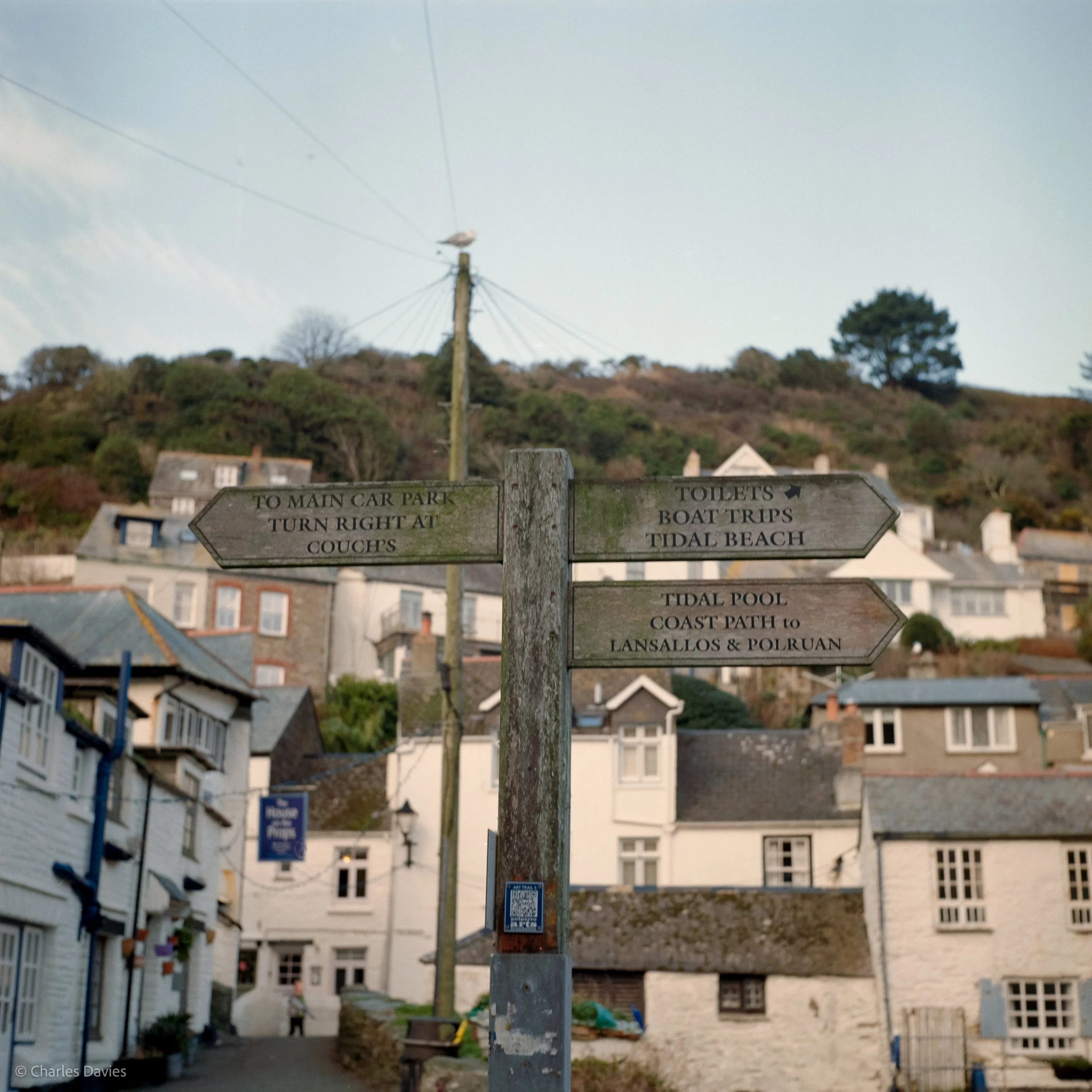 Image-6.jpg