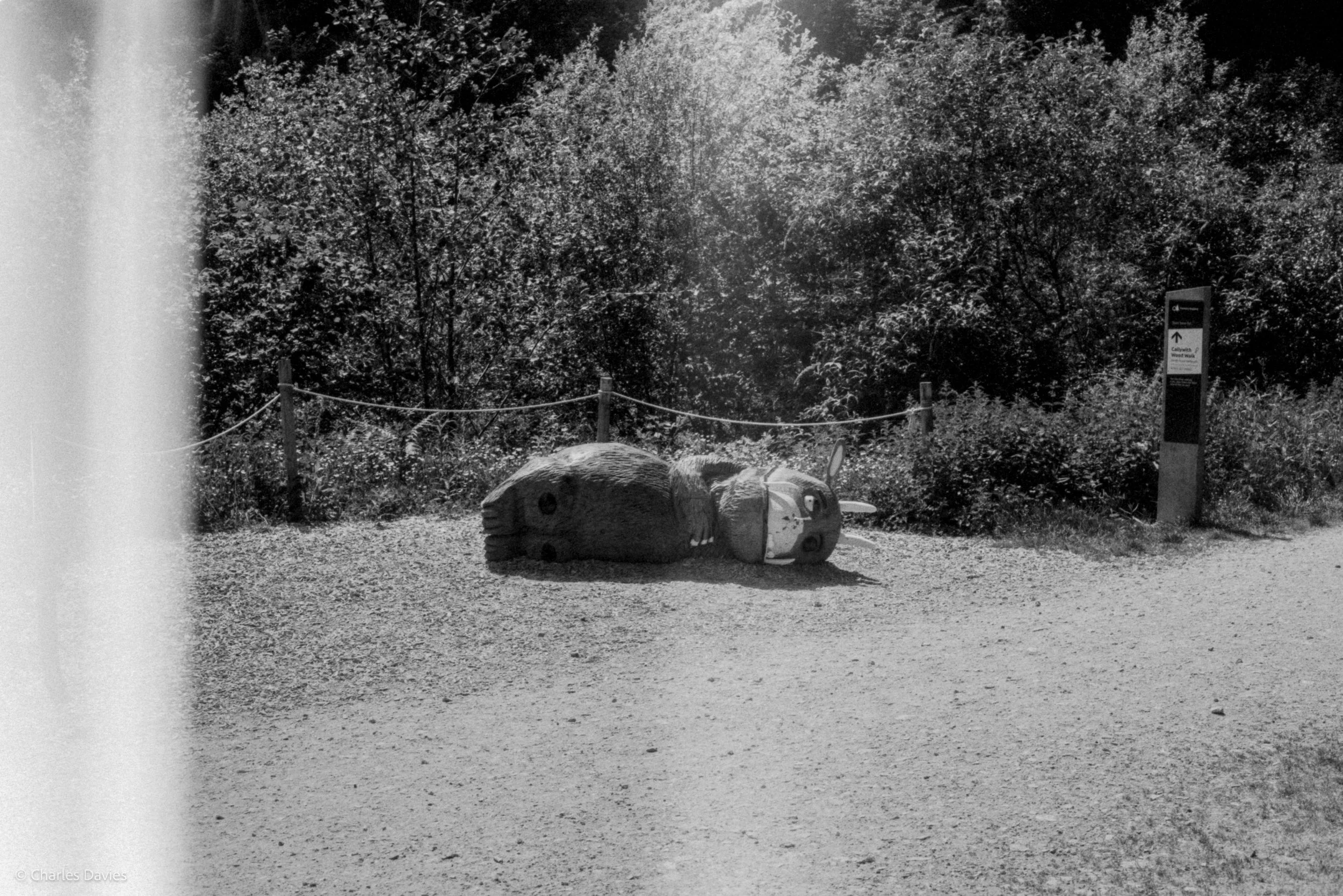 Roll 31 - 2025 - Europe - United Kingdom - Cardinham - Fomapan 400 - Contax RTS - 35mm - Film - B&W
