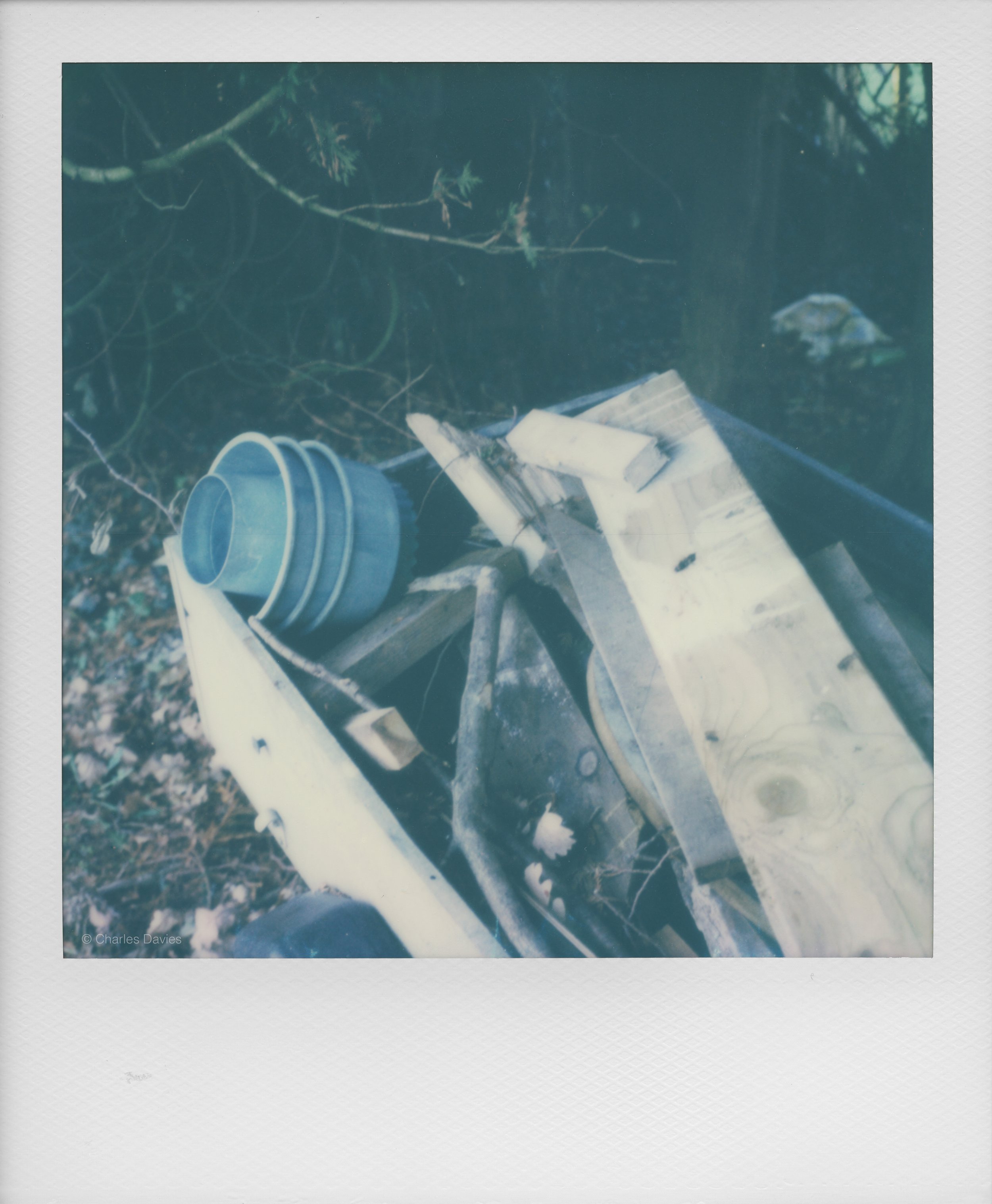 95 - 2022 - Polaroid SX-70.jpg