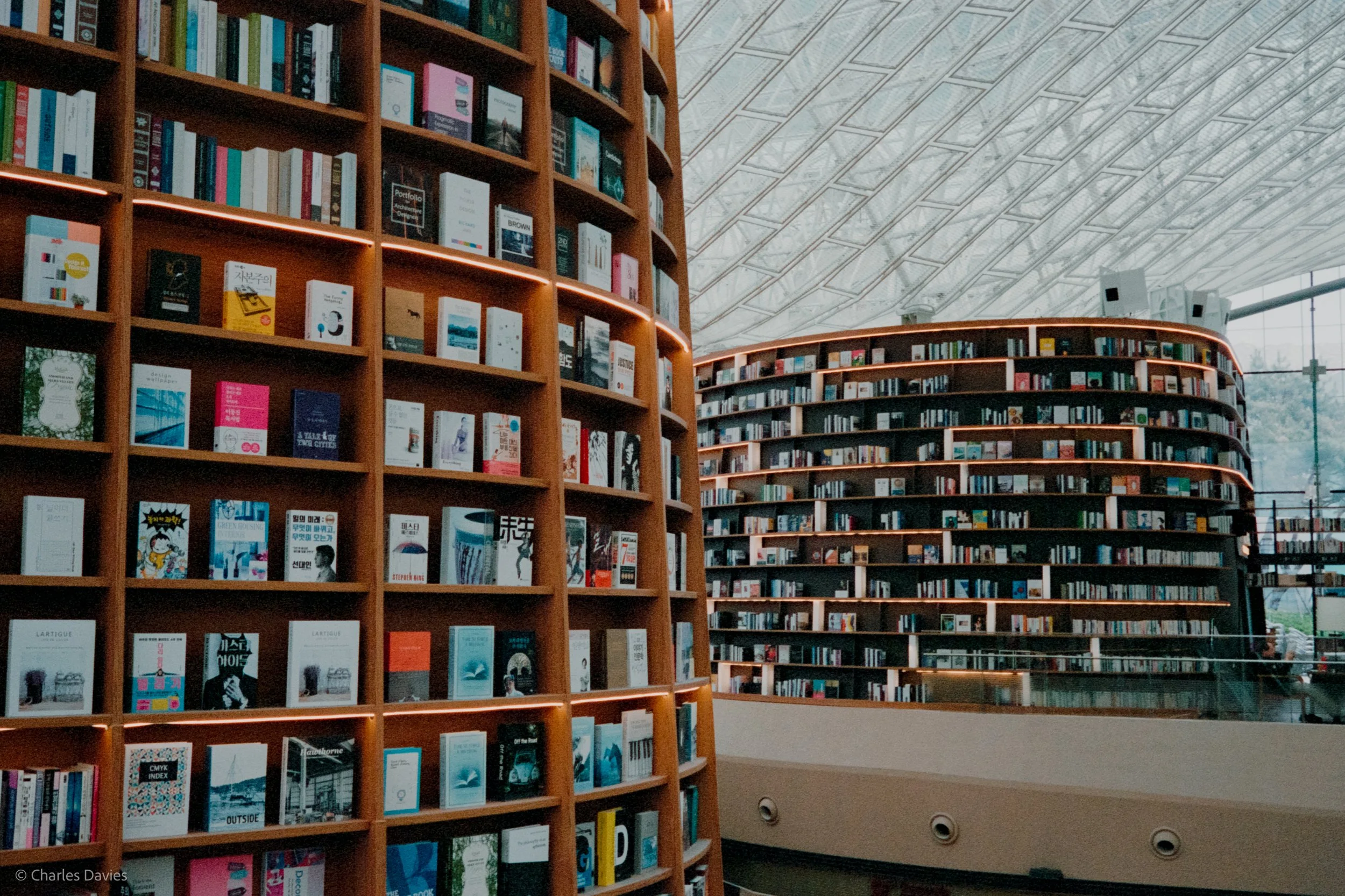 Roll 8 - 2023 - South East Asia - South Korea - Seoul - Kodak Portra 400 - Olympus 35DC - 35mm - Film - Colour 