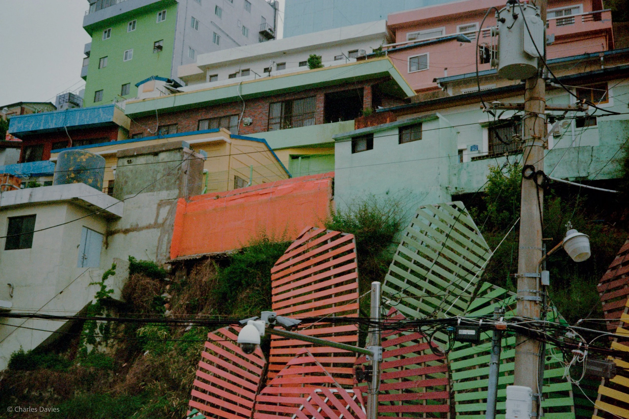 Roll 7 - 2023 - South East Asia - South Korea - Busan - Kodak UltraMax 400 - Olympus 35DC - 35mm - Film - Colour 