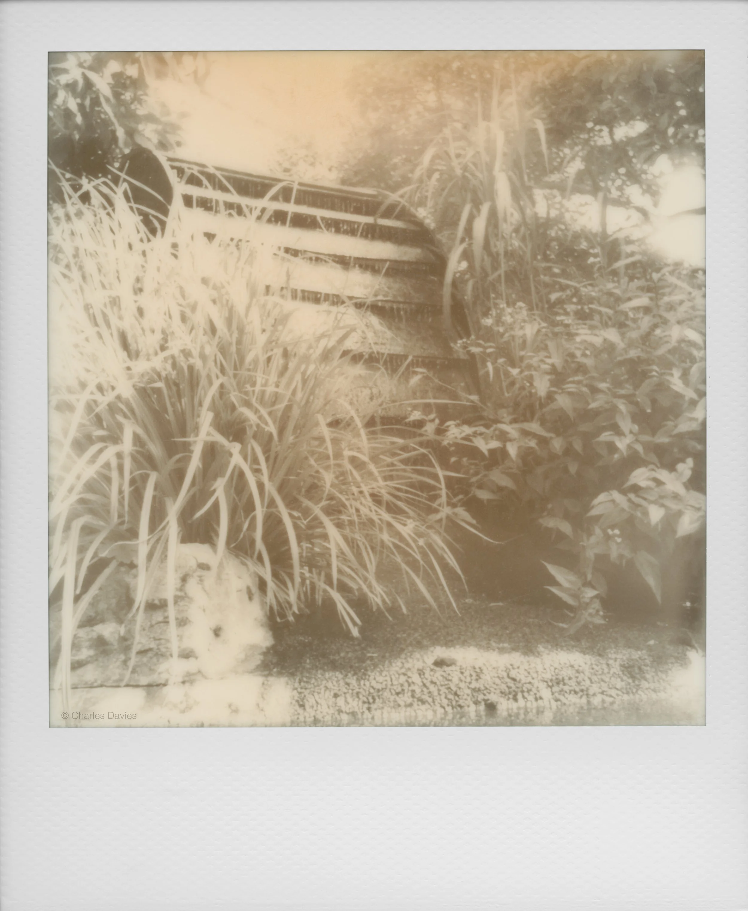 24 - 2022 - Polaroid Now (aged).jpg