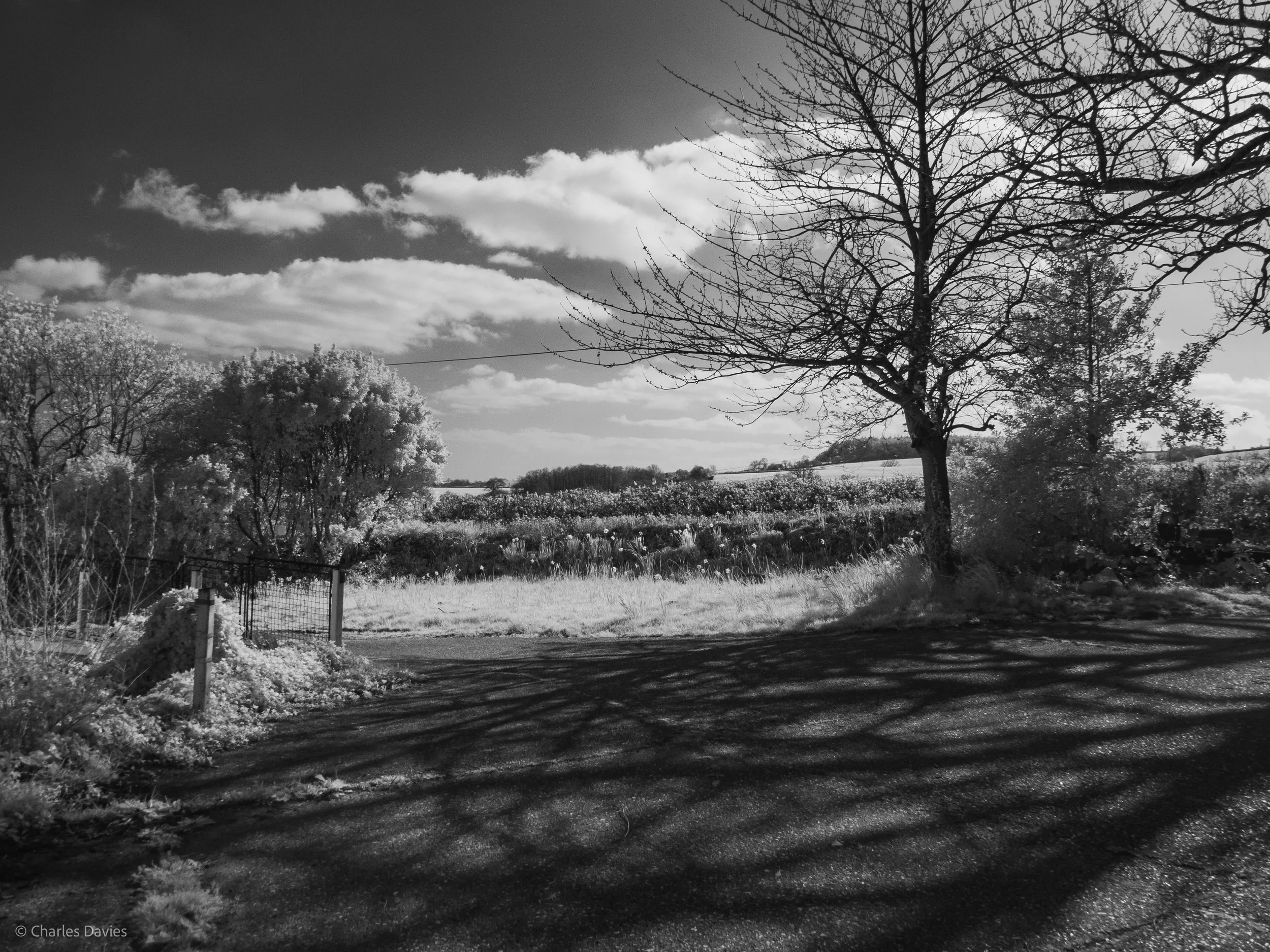 Manual - ISO 100 + F/8 + 1/640th - Home 