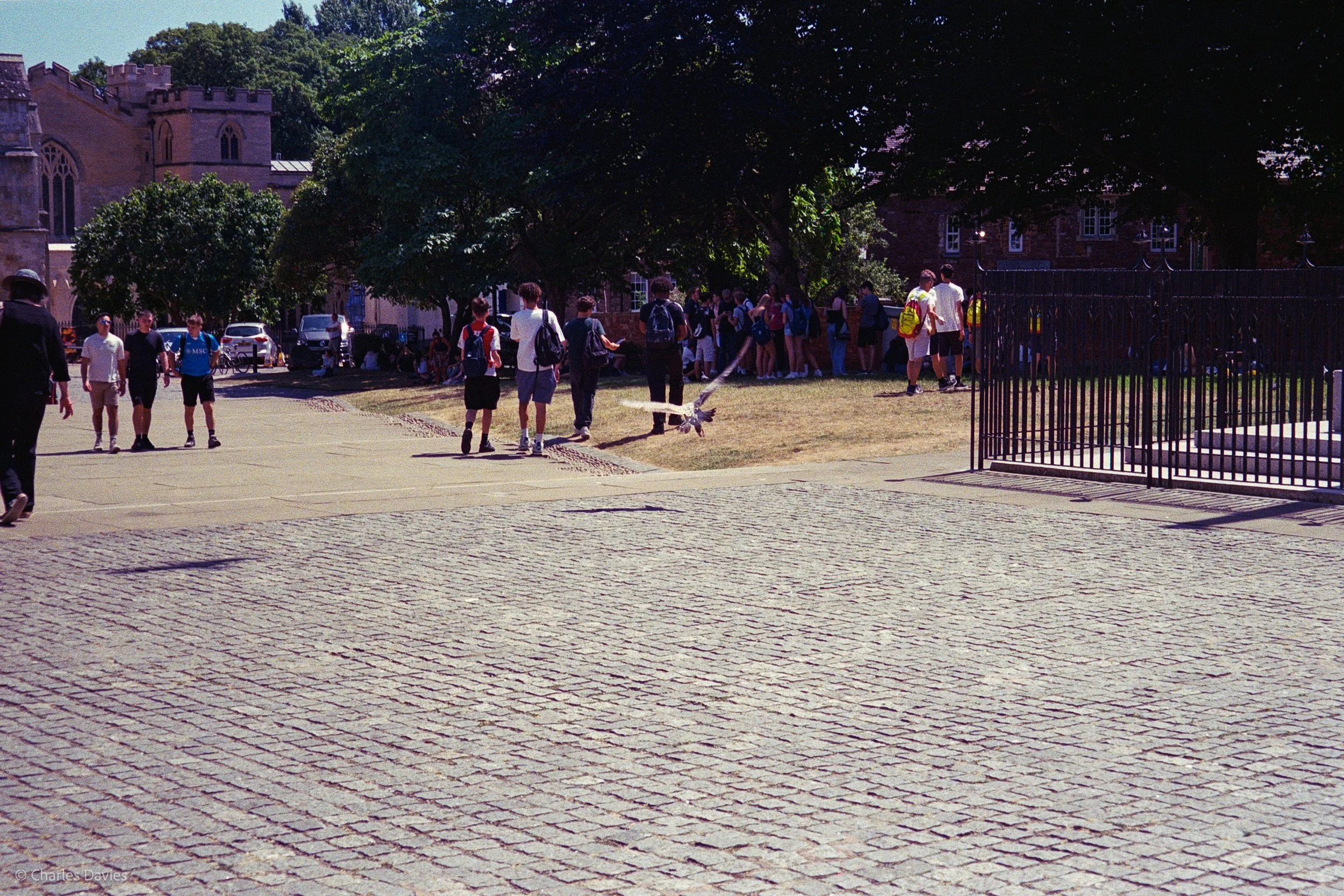 Roll 42 - 2025 - Europe - United Kingdom - Exeter - Kodak UltraMax 400 - Pentax Espio 738S - 35mm - Film - Colour