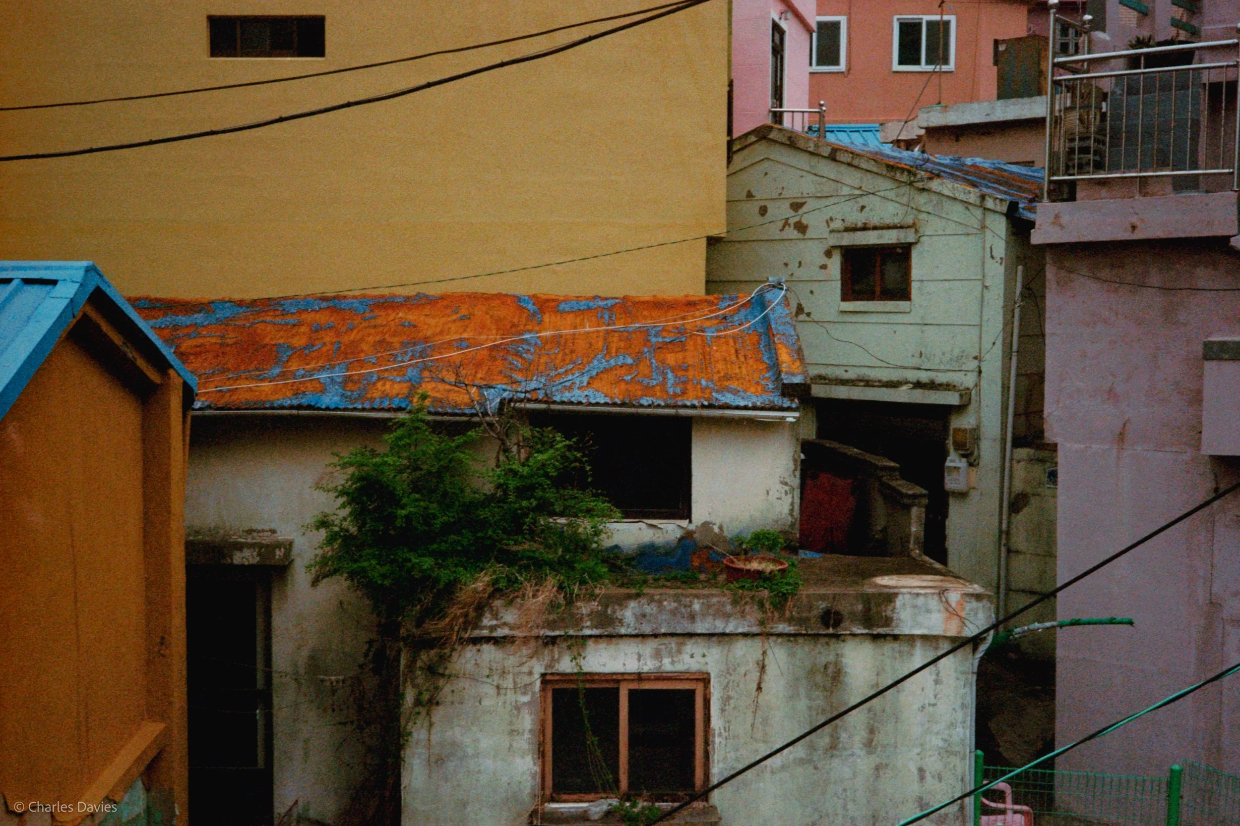 Roll 7 - 2023 - South East Asia - South Korea - Busan - Kodak UltraMax 400 - Olympus 35DC - 35mm - Film - Colour 