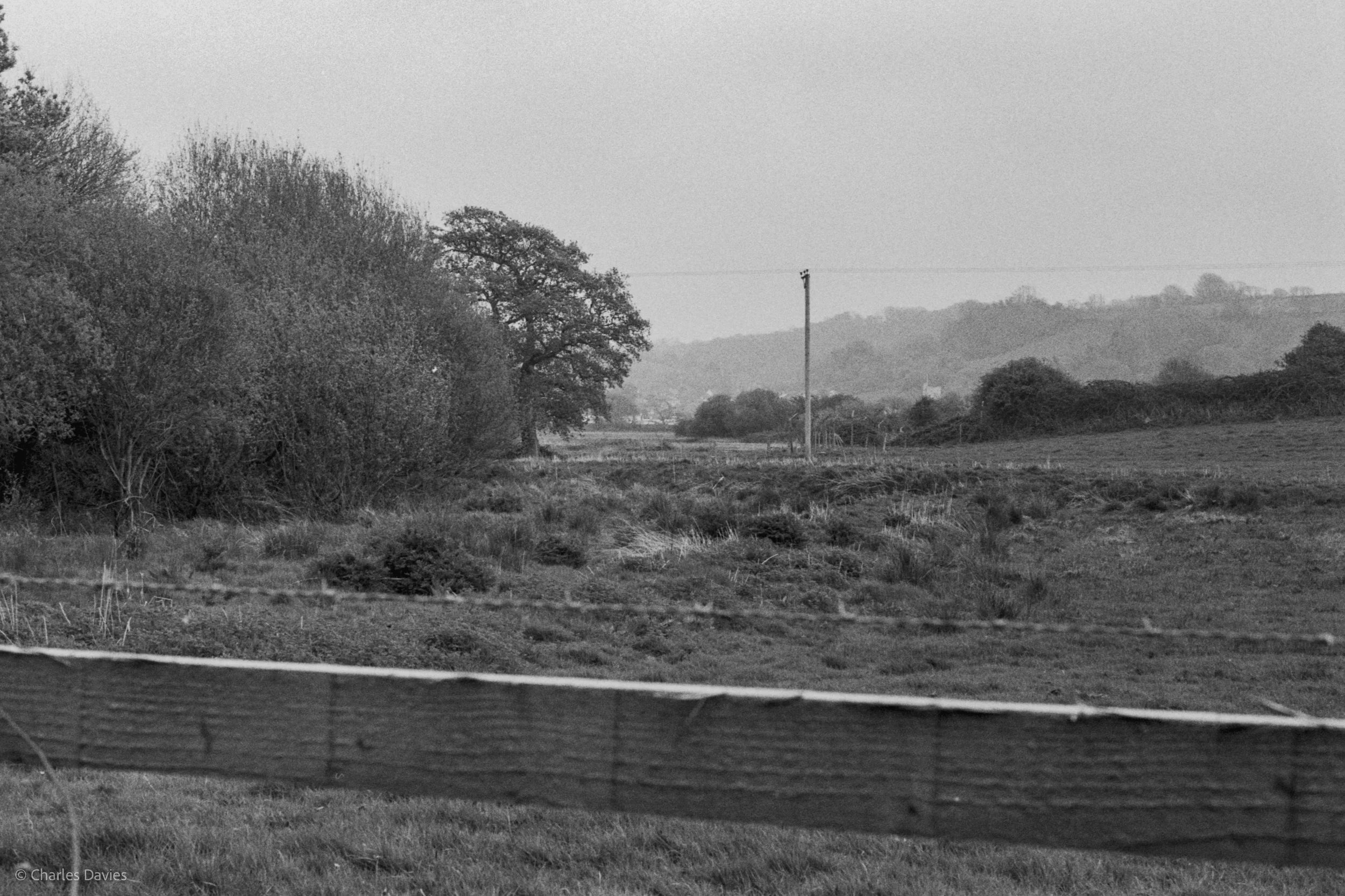 Roll 28 - 2025 - Europe - United Kingdom - Seaton - Kentmere Pan 400 - Minolta X-300 - 35mm - Film - B&W 