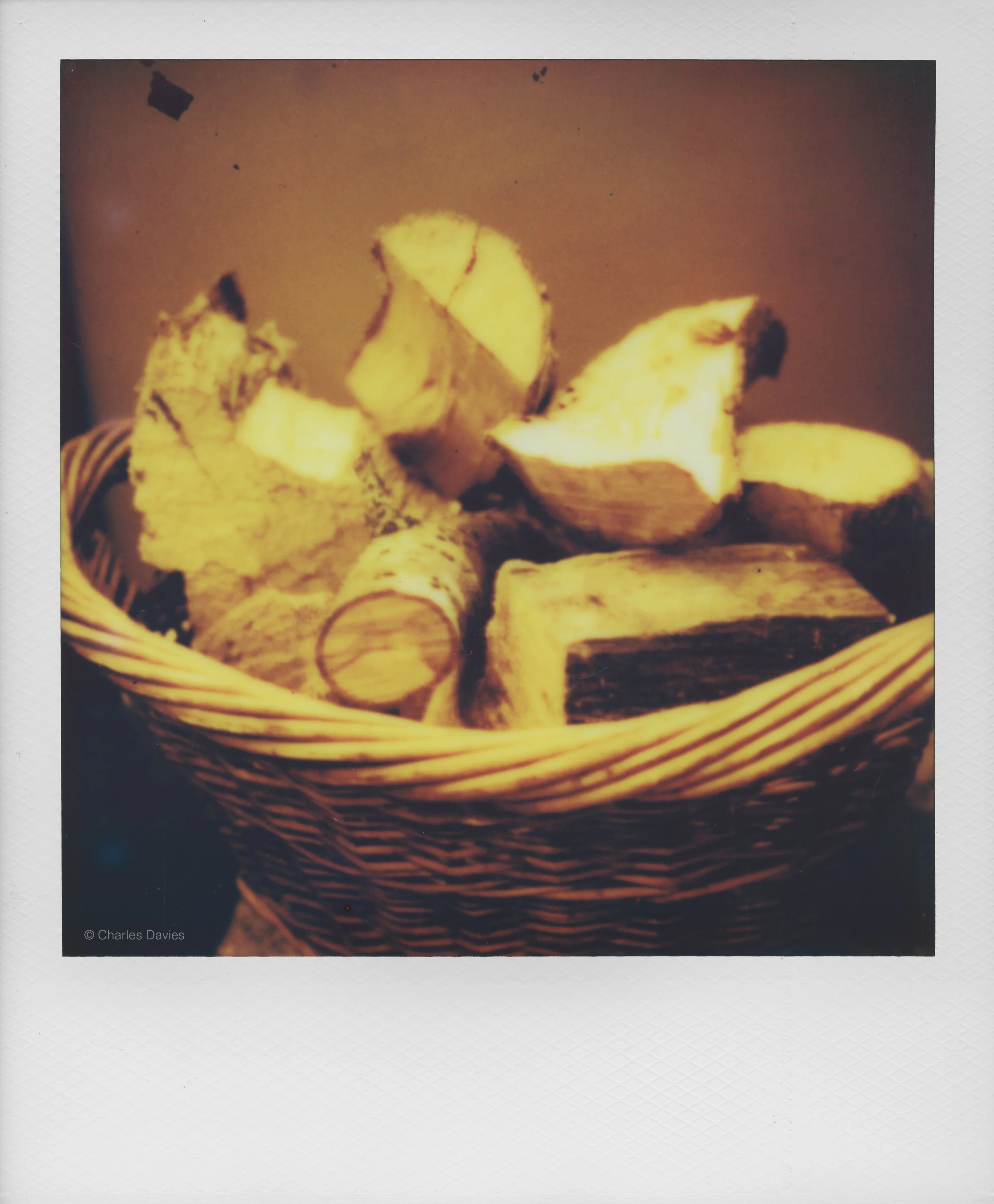 88 - 2022 - Polaroid SX-70 Sonar.jpg