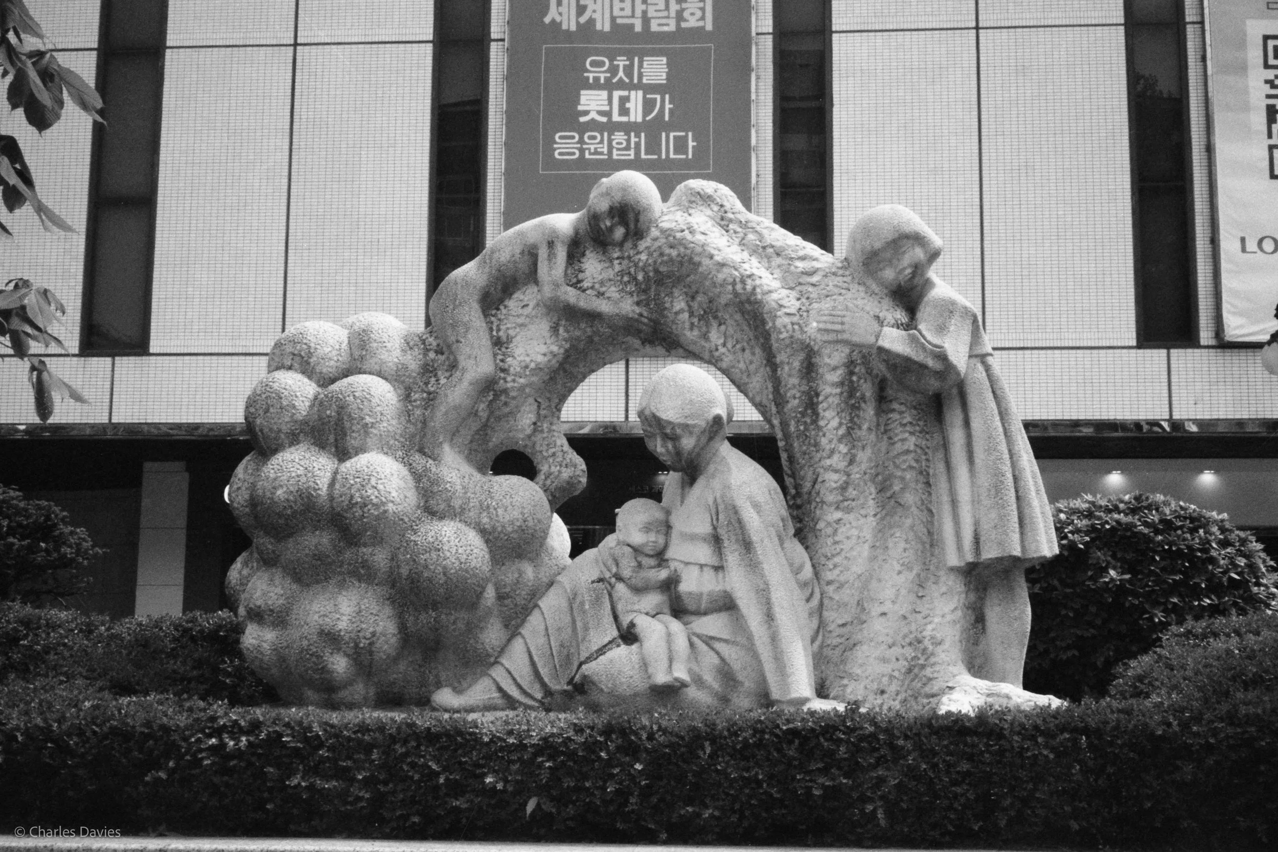 Roll 9 - 2023 - South East Asia - South Korea - Seoul - Kentmere Pan 400 - Olympus 35DC - 35mm - Film - B&W 